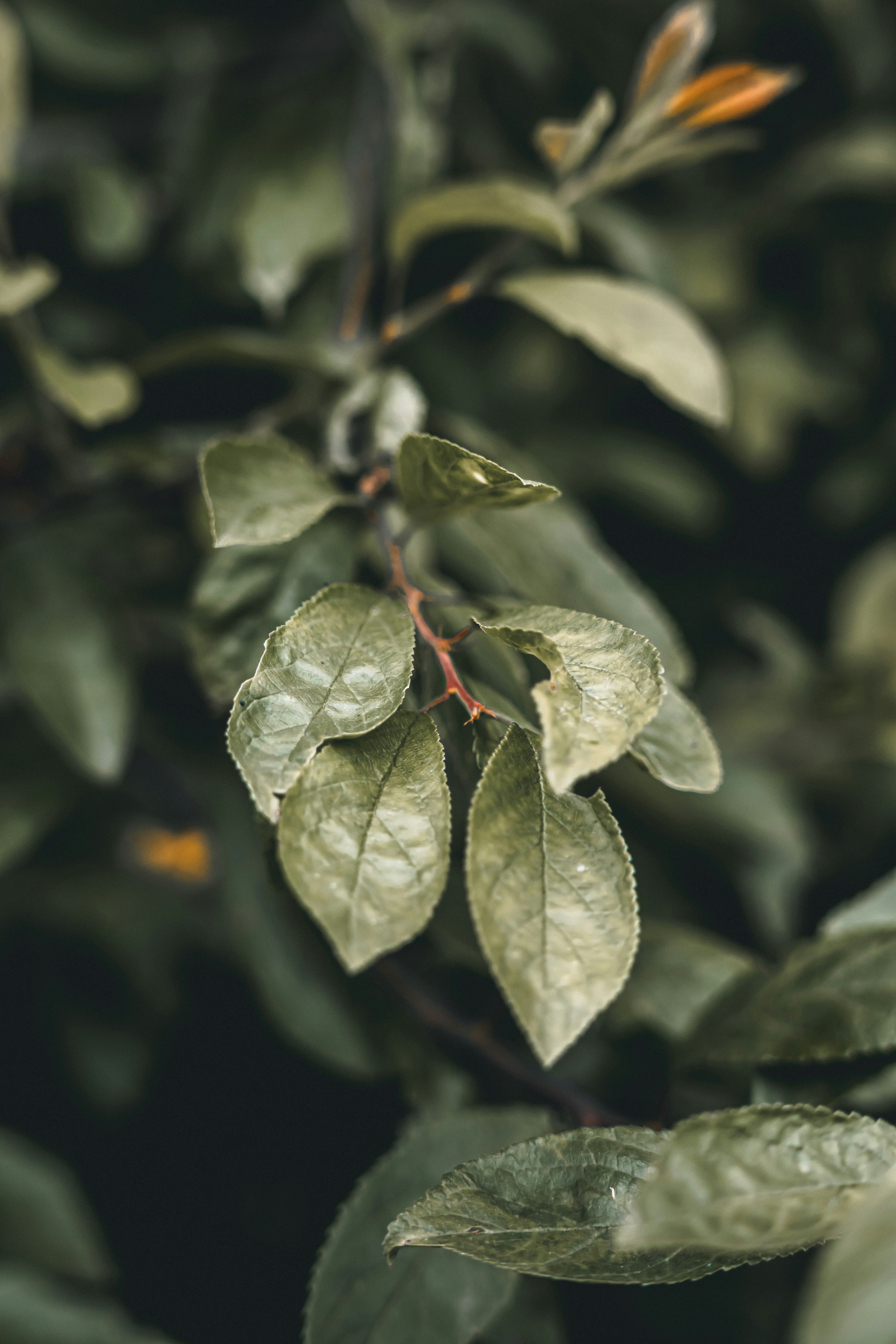 Photo by wojtekpaczes