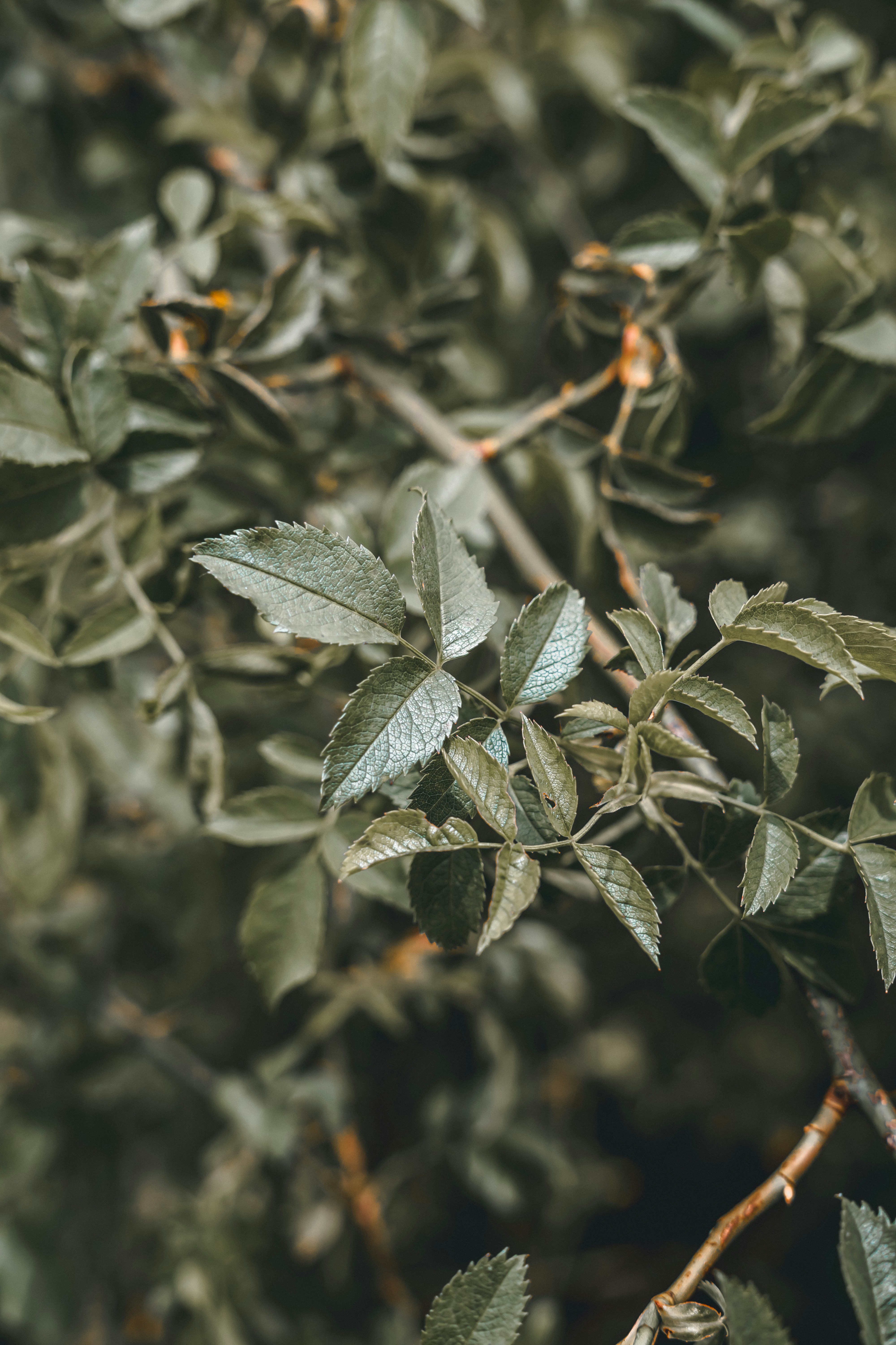 Photo by wojtekpaczes