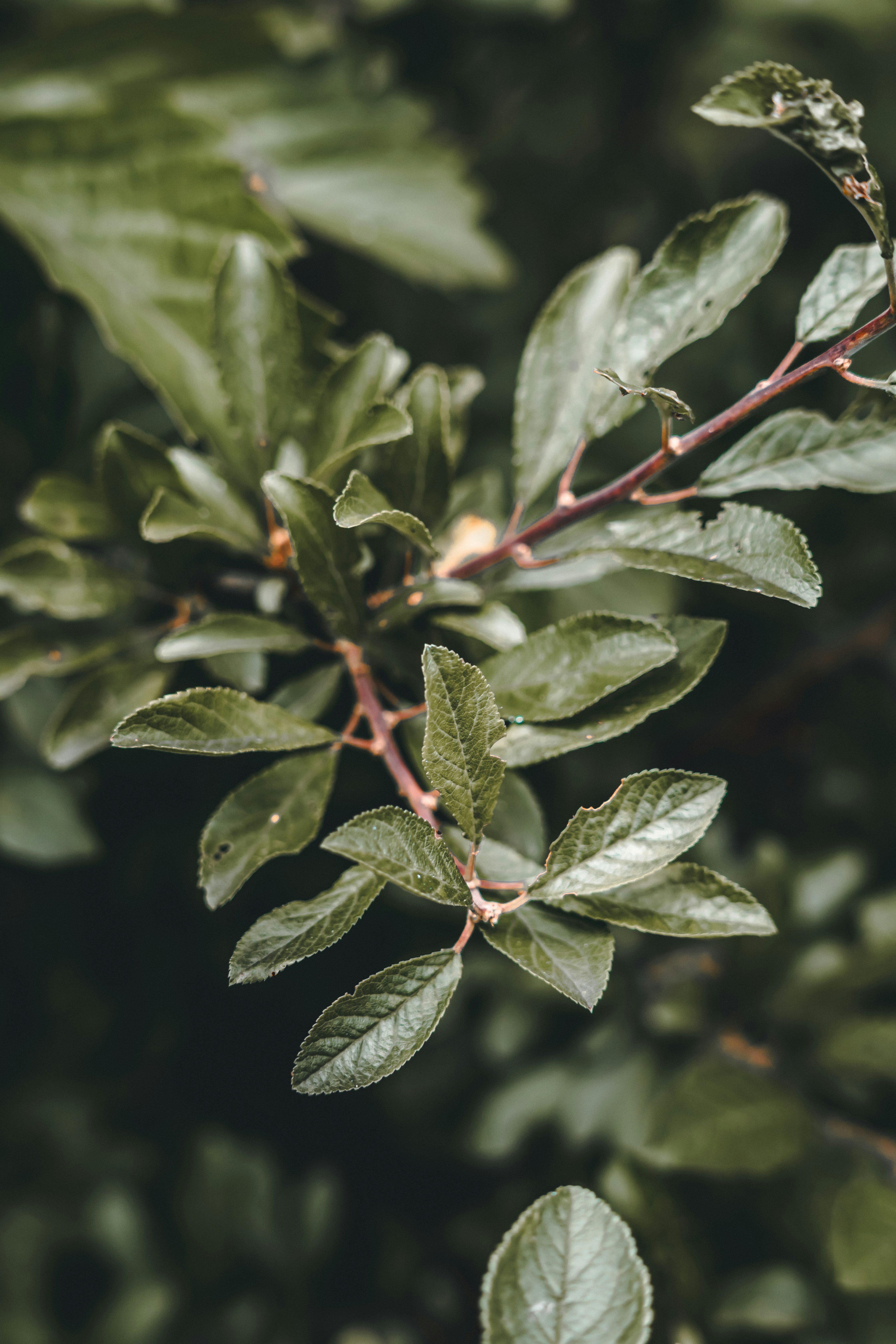 Photo by wojtekpaczes