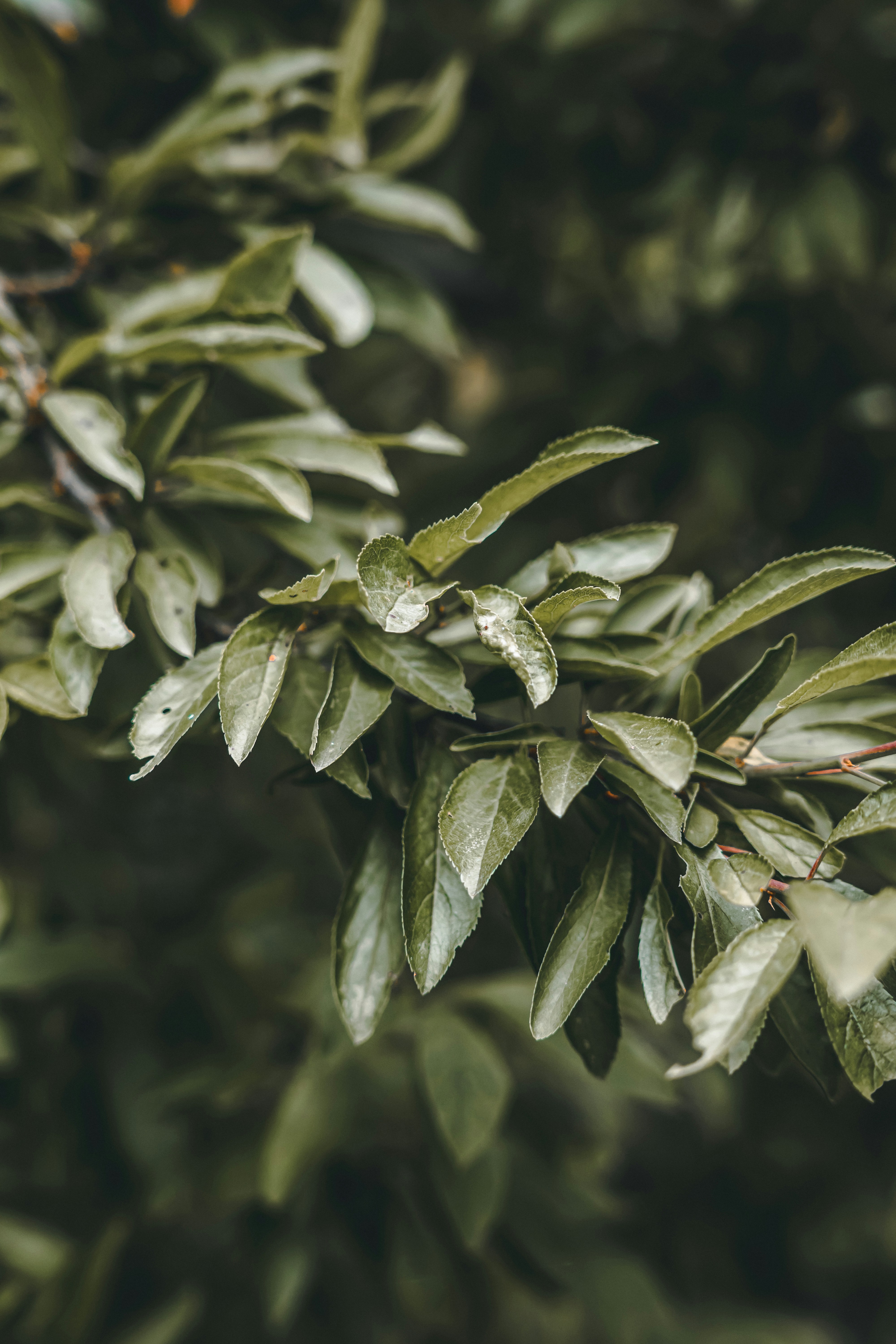 Photo by wojtekpaczes