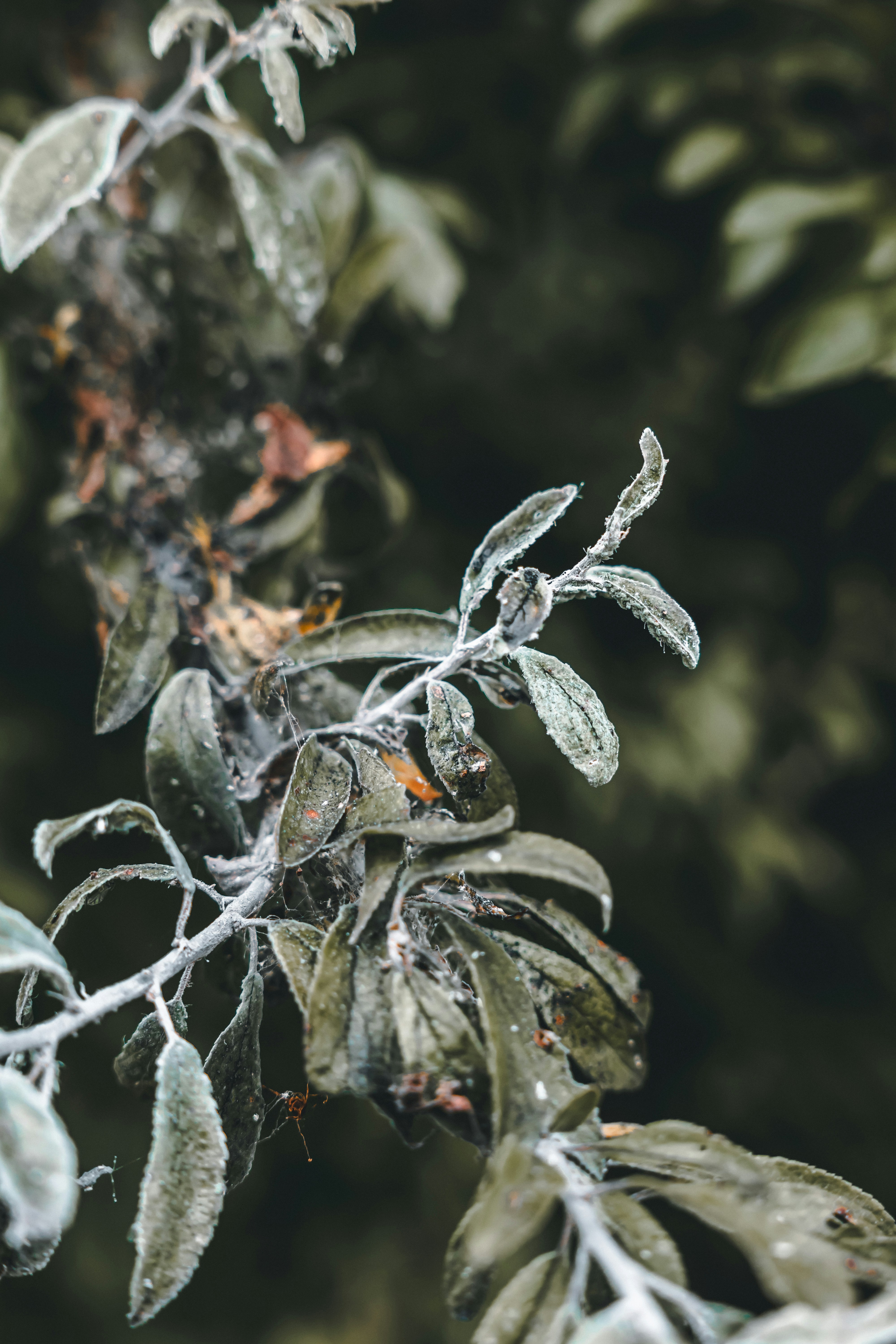 Photo by wojtekpaczes