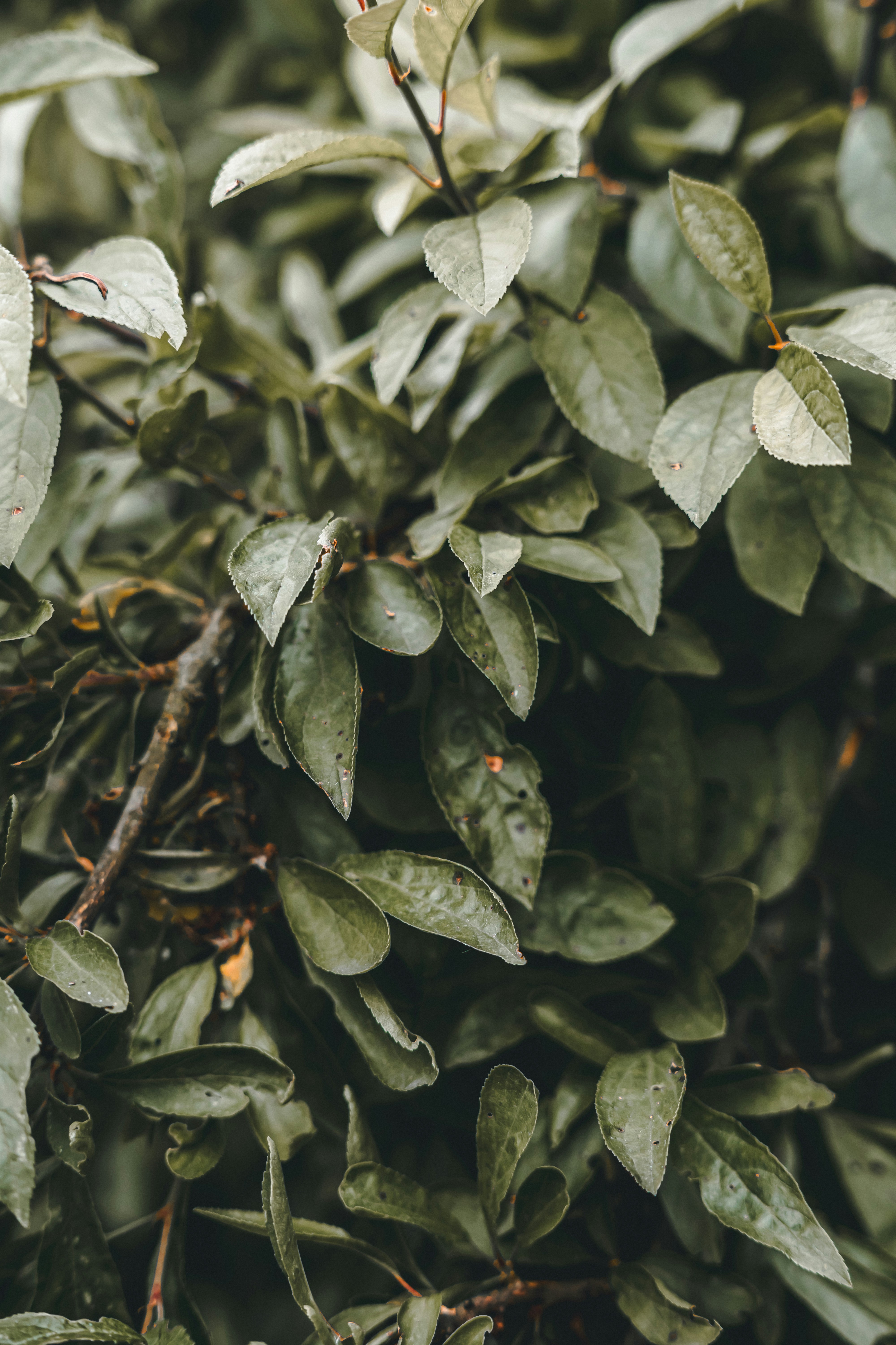 Photo by wojtekpaczes