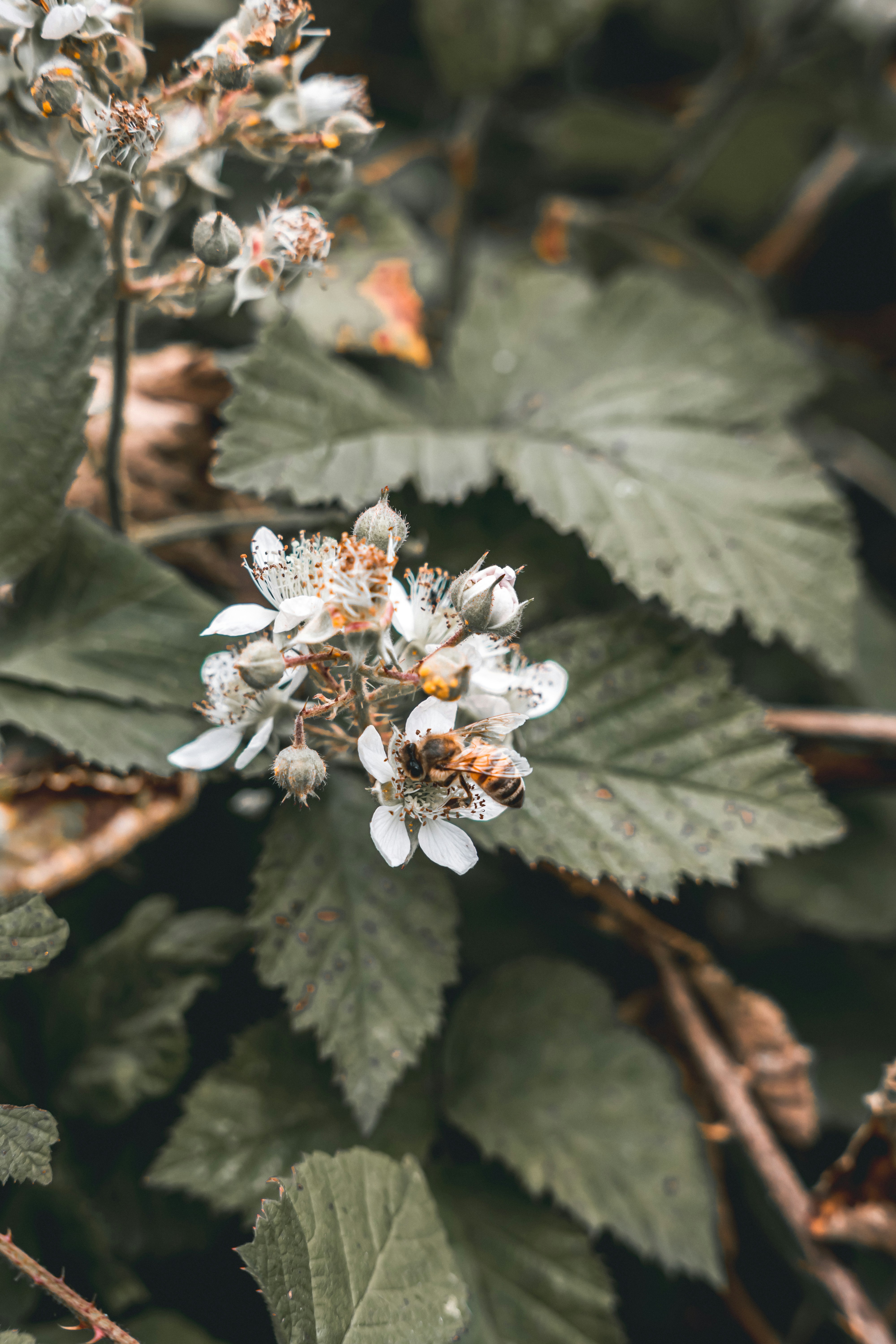 Photo by wojtekpaczes