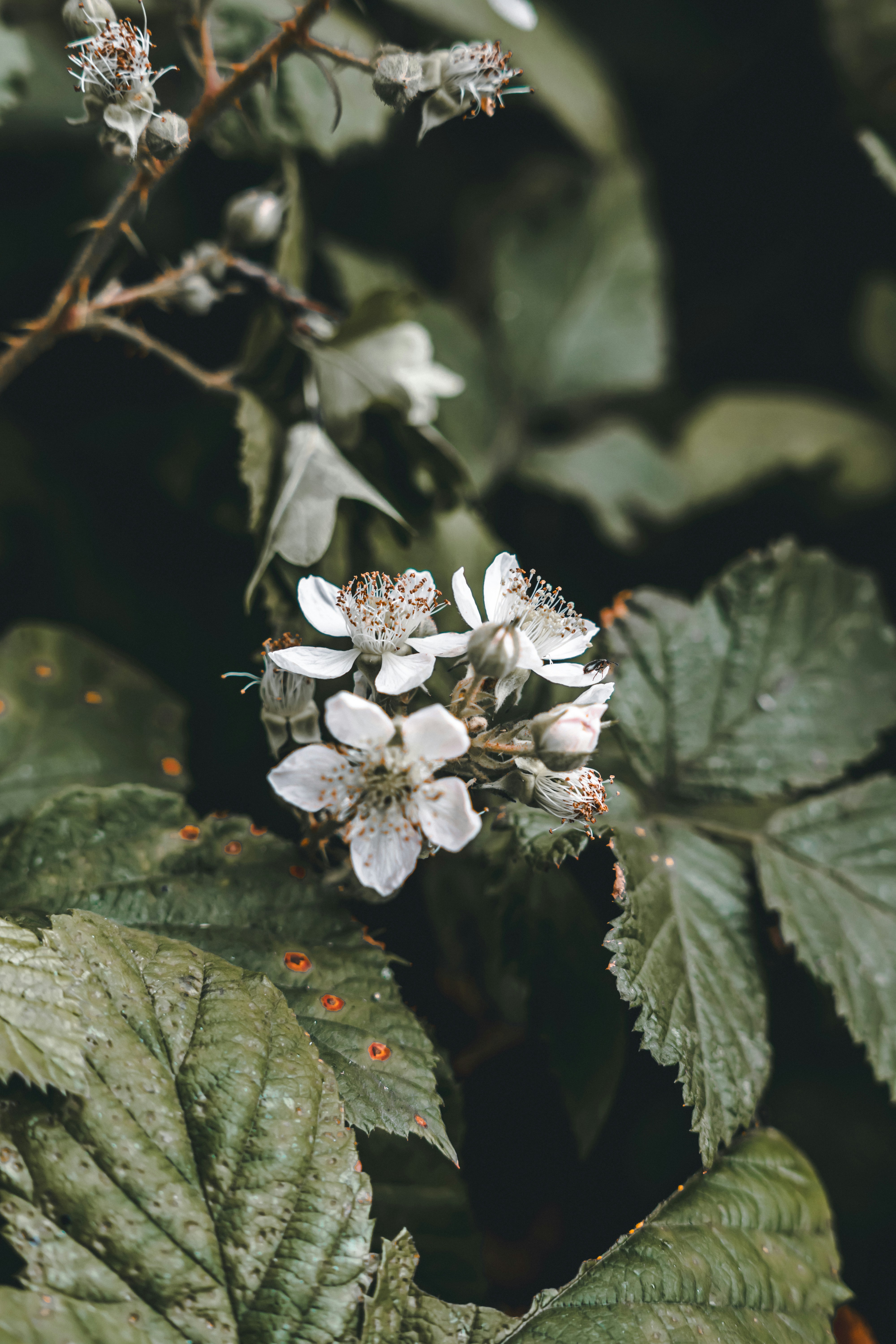 Photo by wojtekpaczes