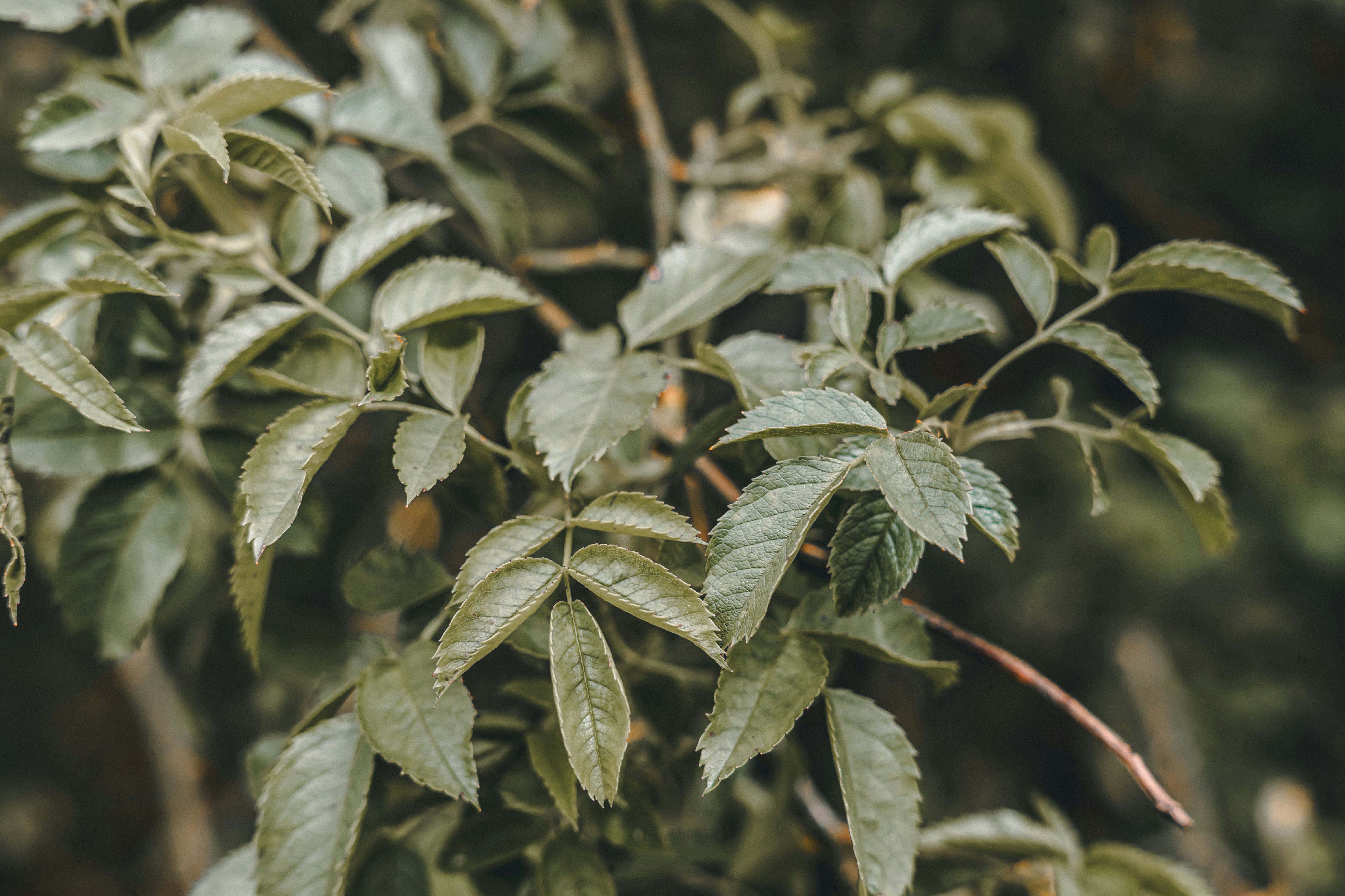 Photo by wojtekpaczes