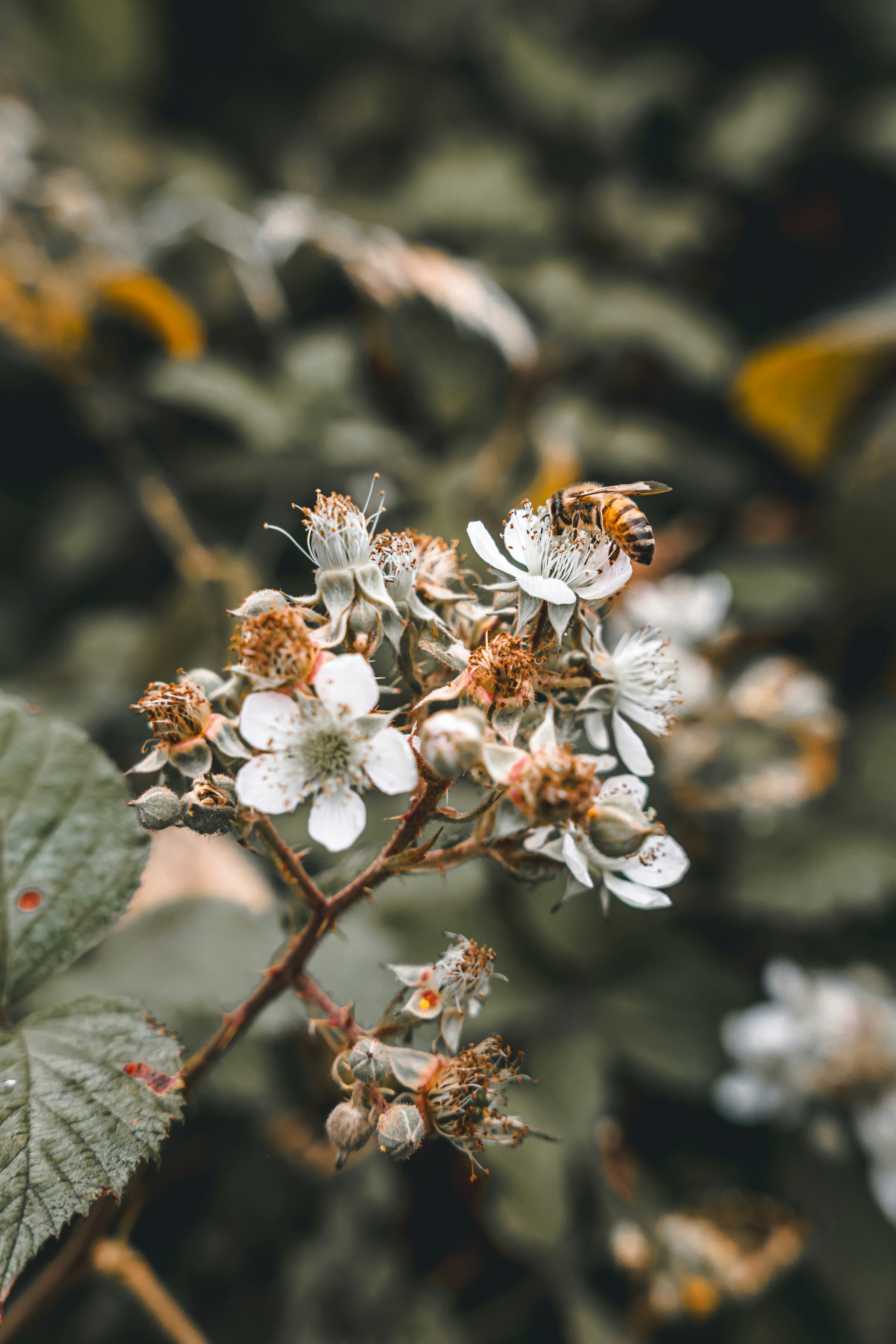 Photo by wojtekpaczes