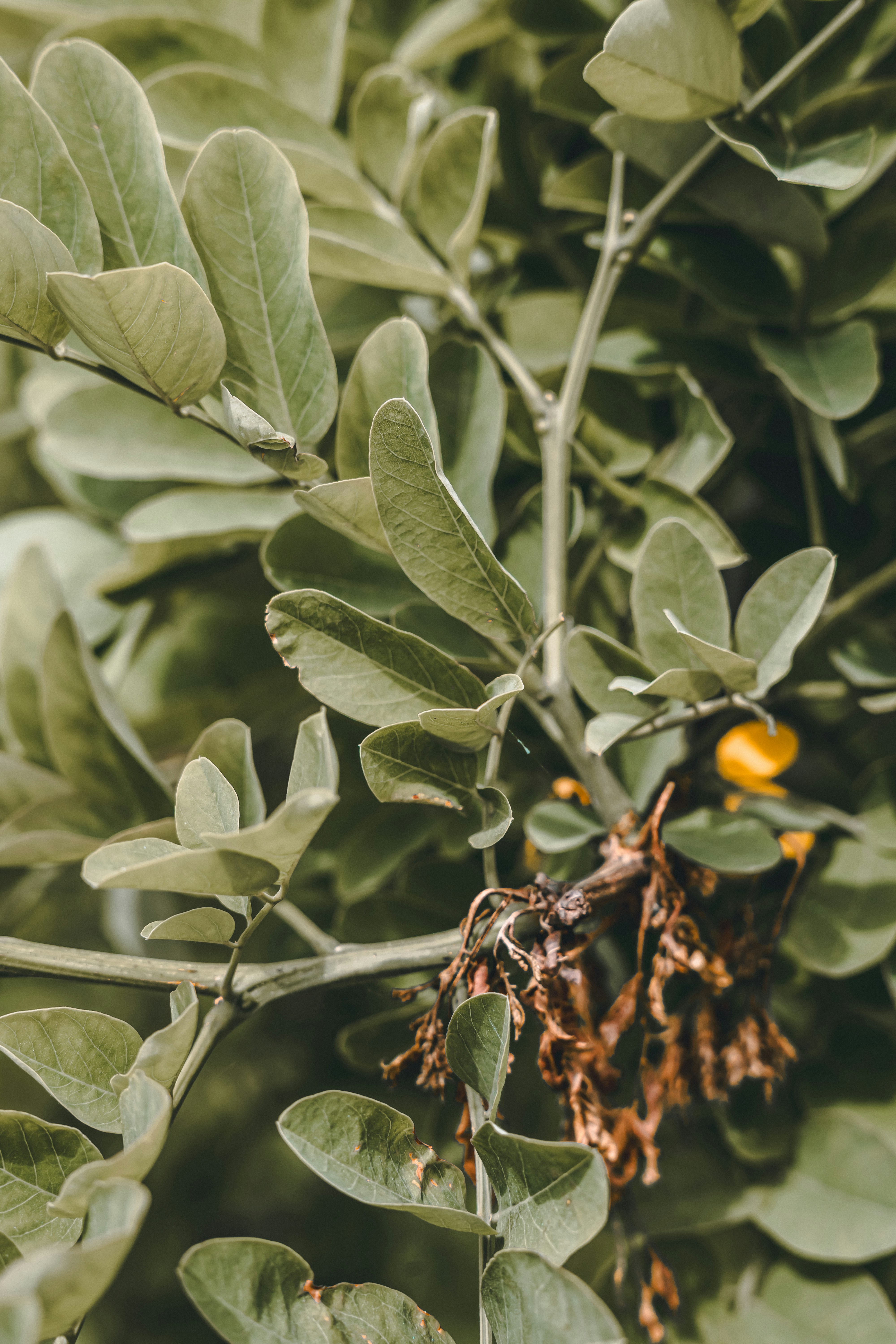 Photo by wojtekpaczes