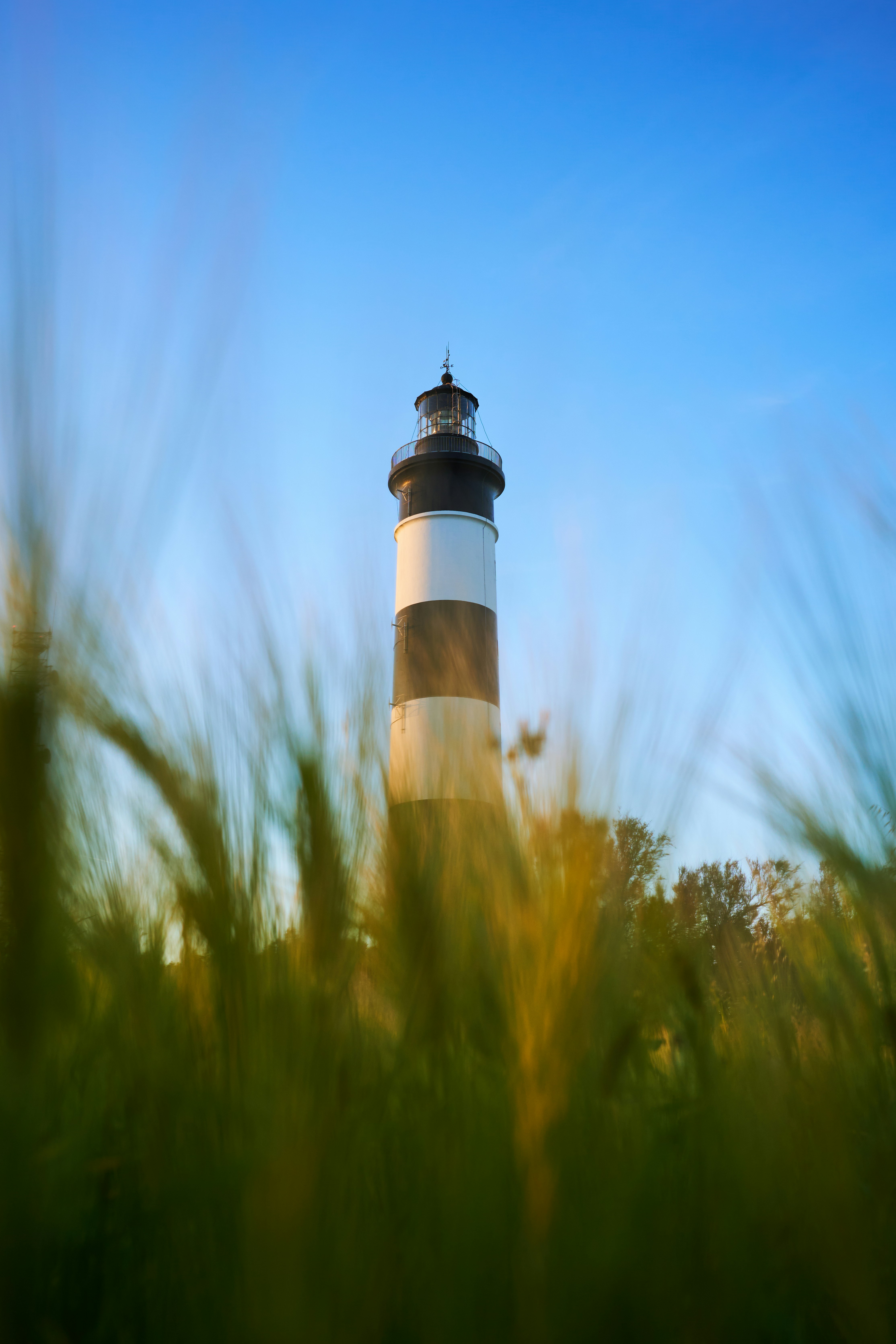a black and white lighthouse surrounded by tall grassby Thibault Mokuenko
