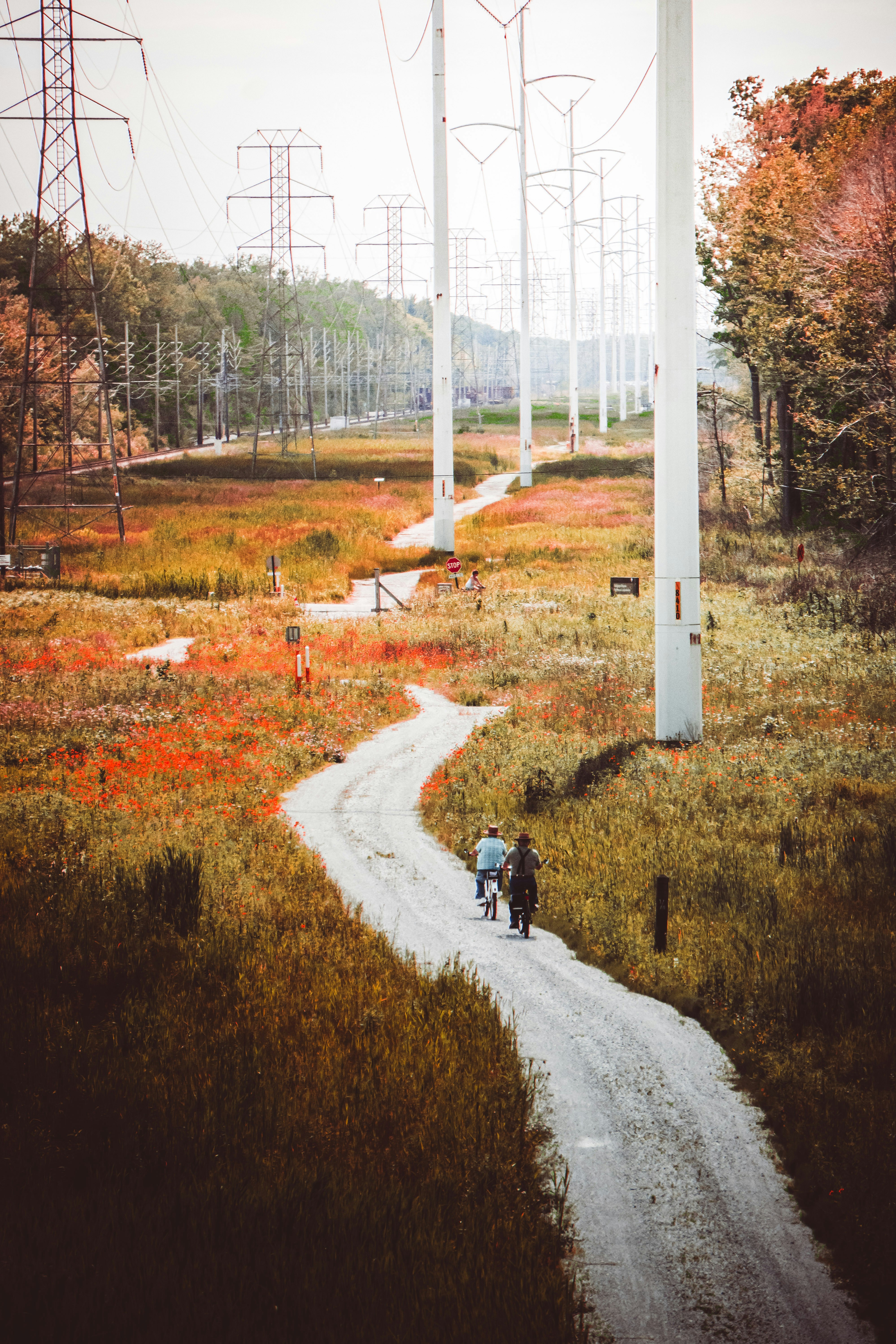 A couple of people riding bikes down a dirt road