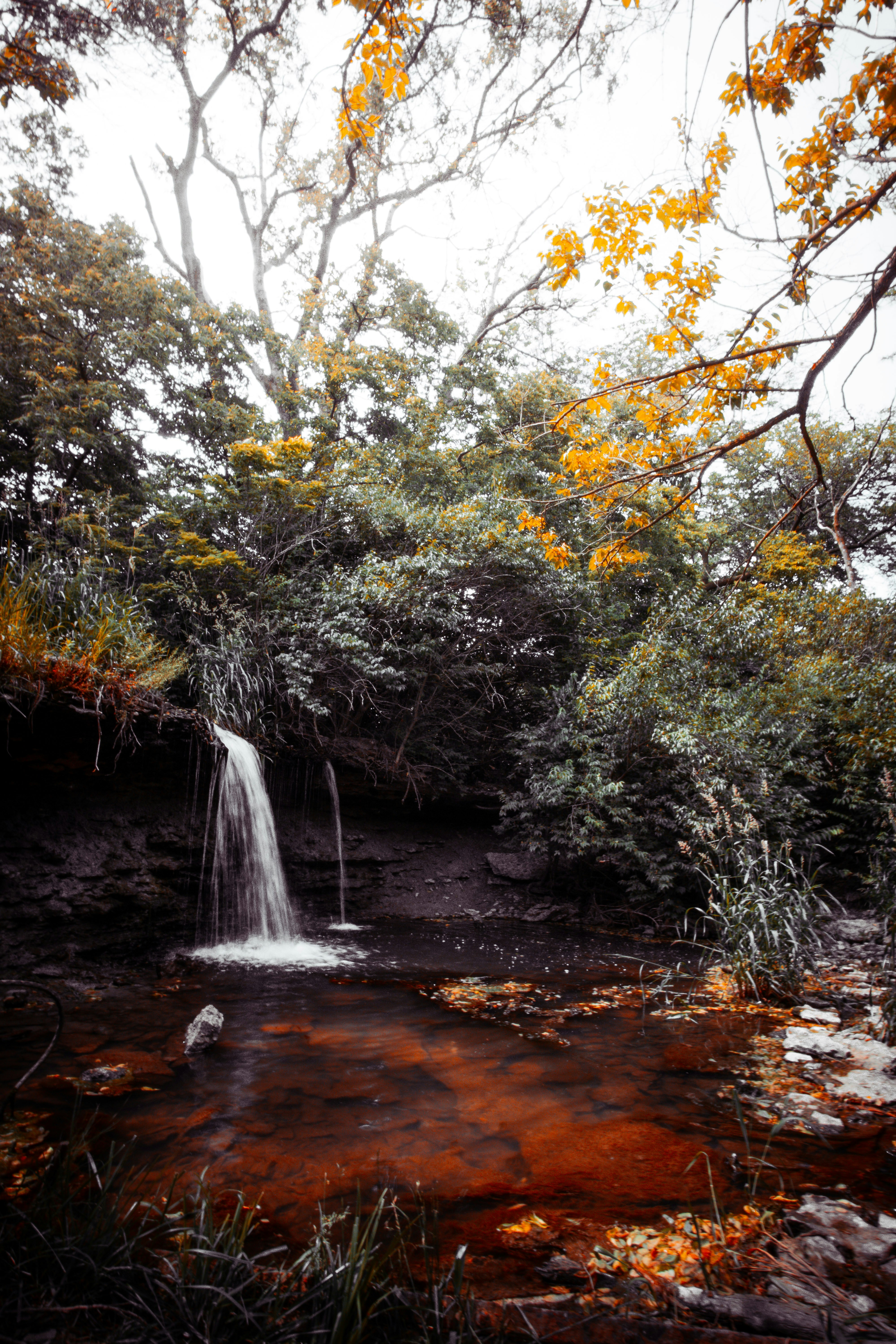 A small waterfall in the middle of a forest