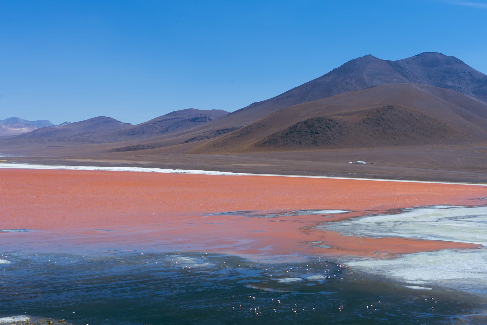 Laguna altiplánica con tonos rojizos y montañas al fondo, Bolivia