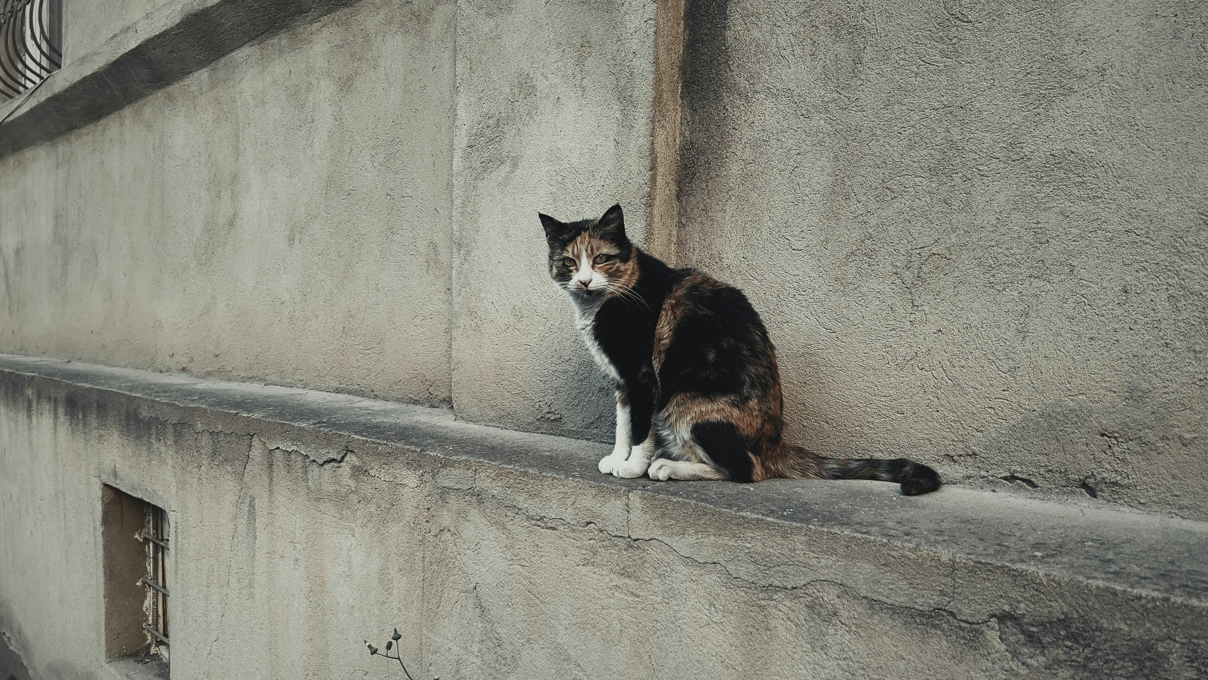 Image de comment piloter la conduite du changement pour réussir l’adoption d’un erp-crm en pme
