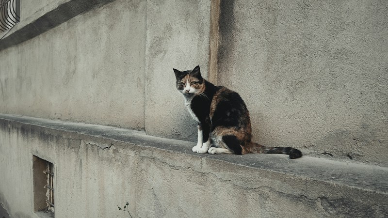 Image de Comment piloter la conduite du changement pour réussir l’adoption d’un erp-crm en pme