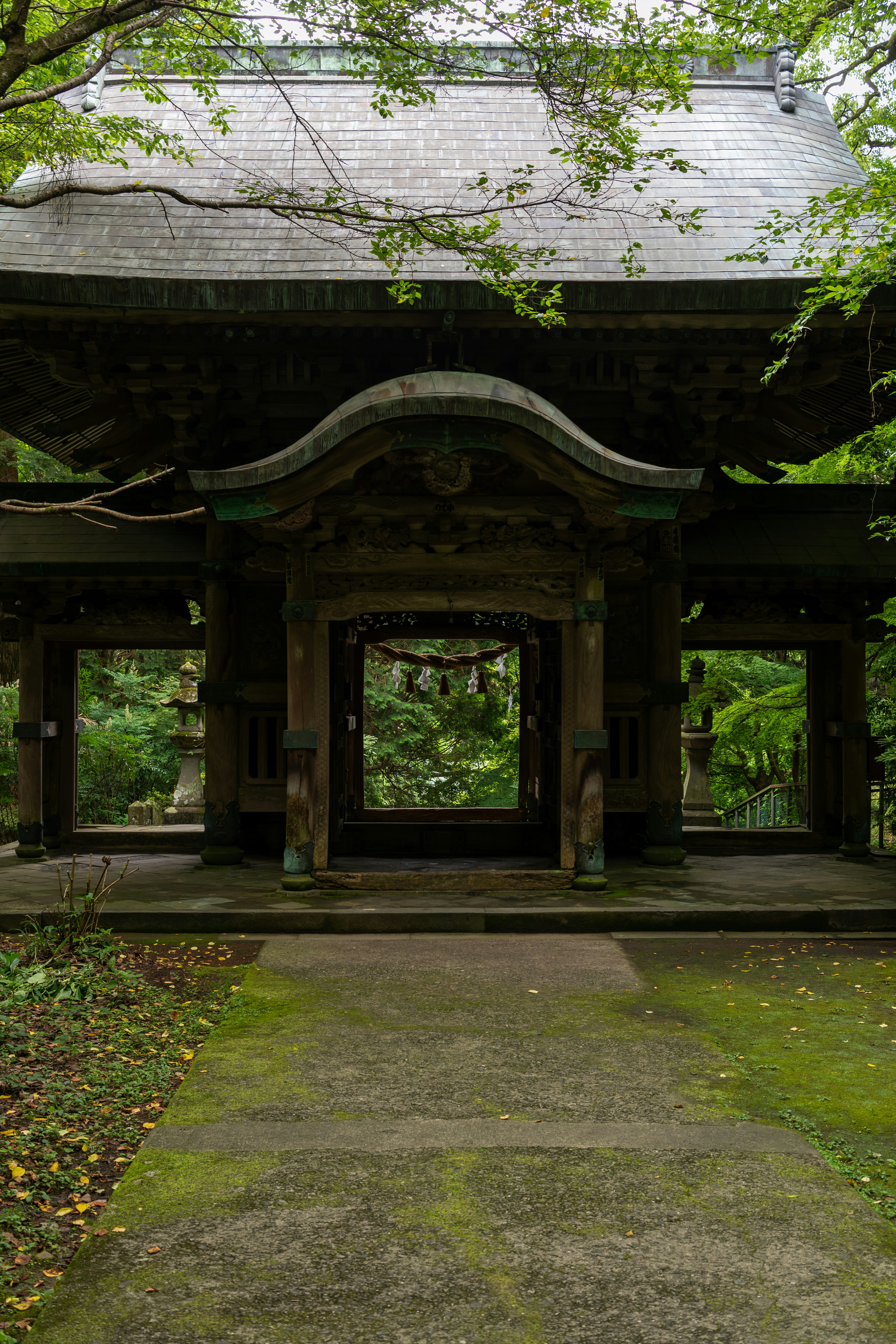 Photo by pafuxu