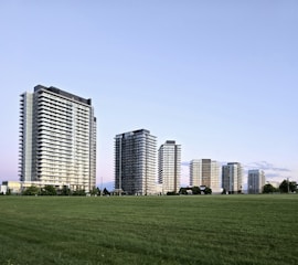 A grassy field with tall buildings in the background