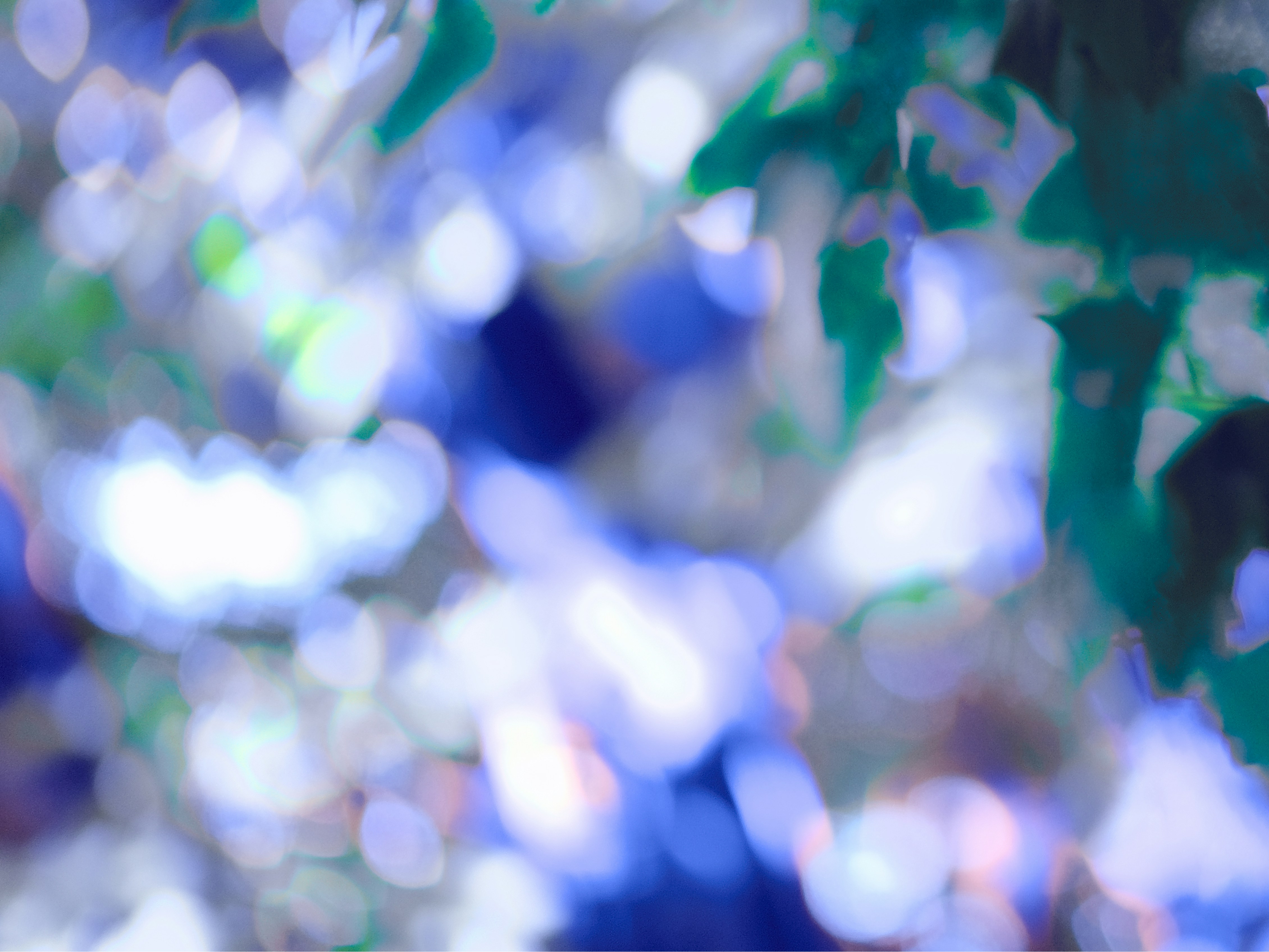 Photo by alexxingplus