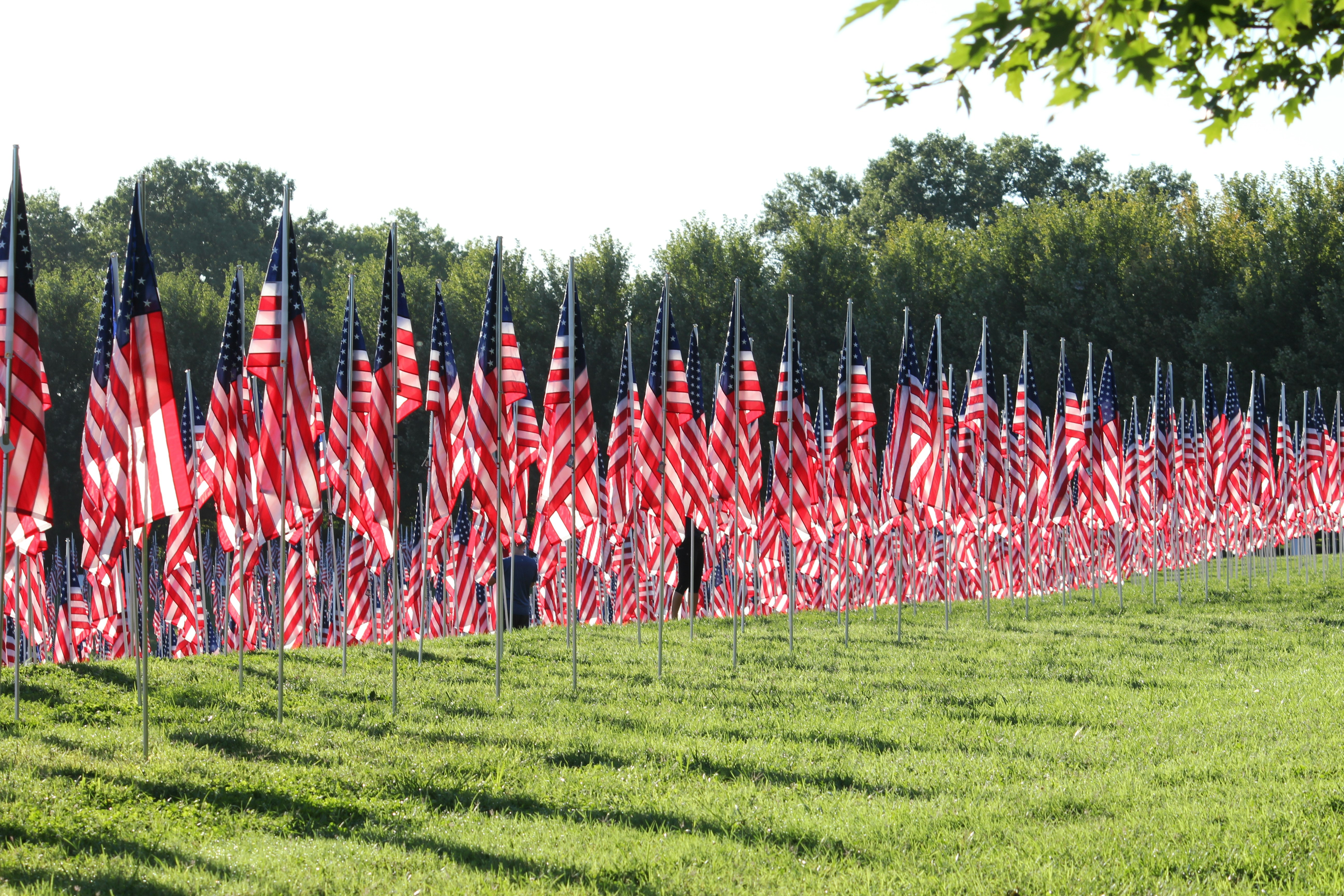 Photo by jimmybiscuits