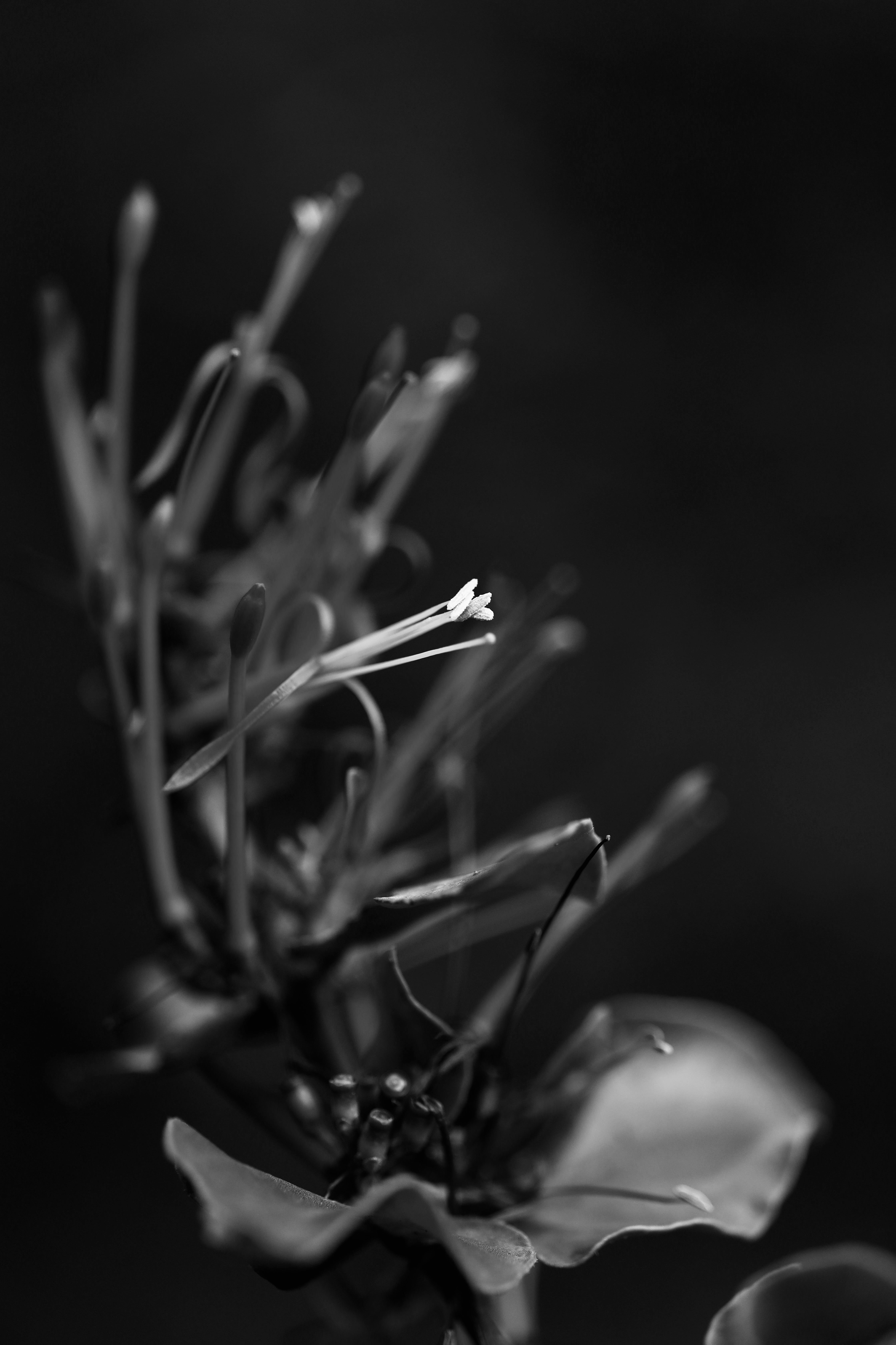 Photo by viajeenparacaidas