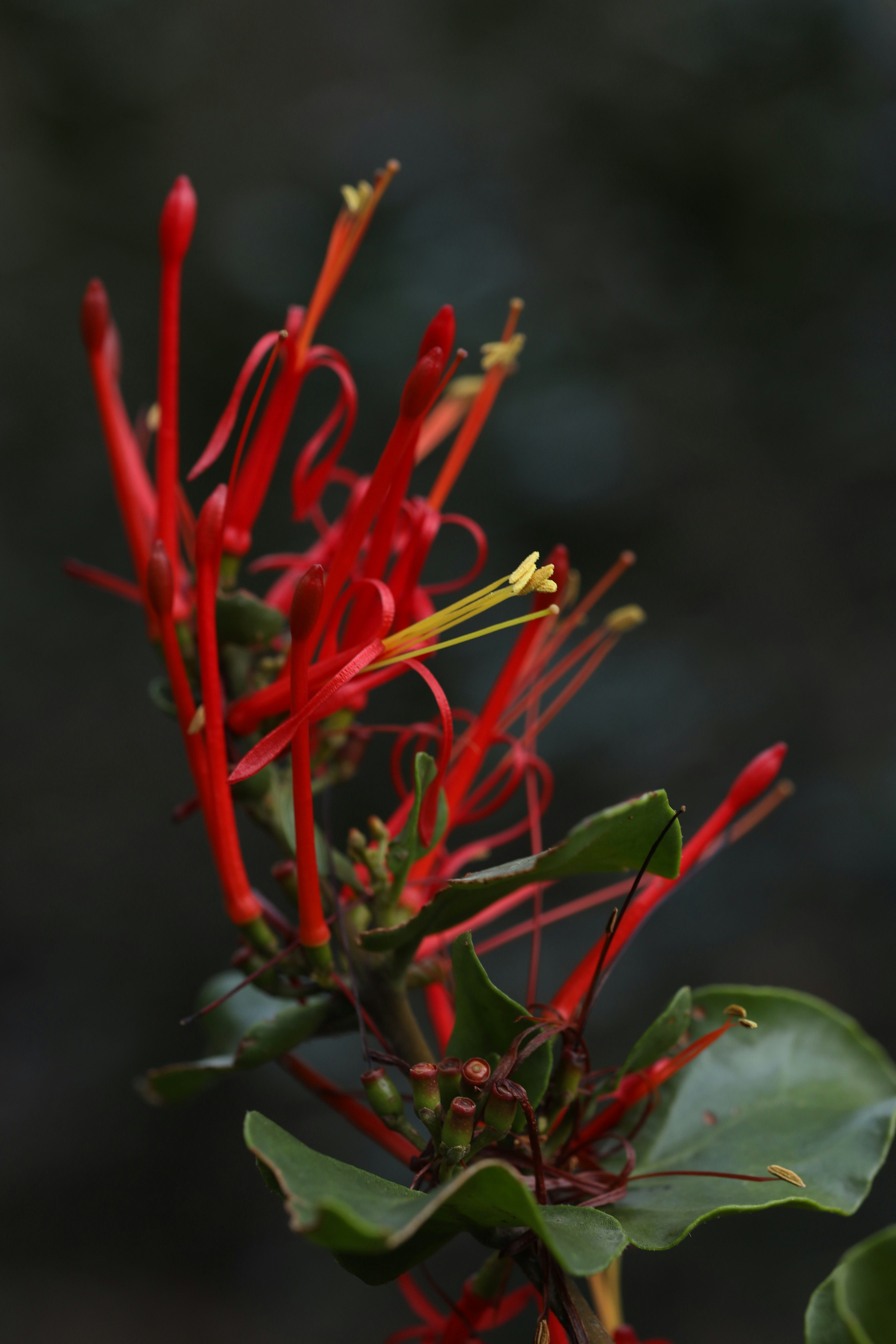 Photo by viajeenparacaidas