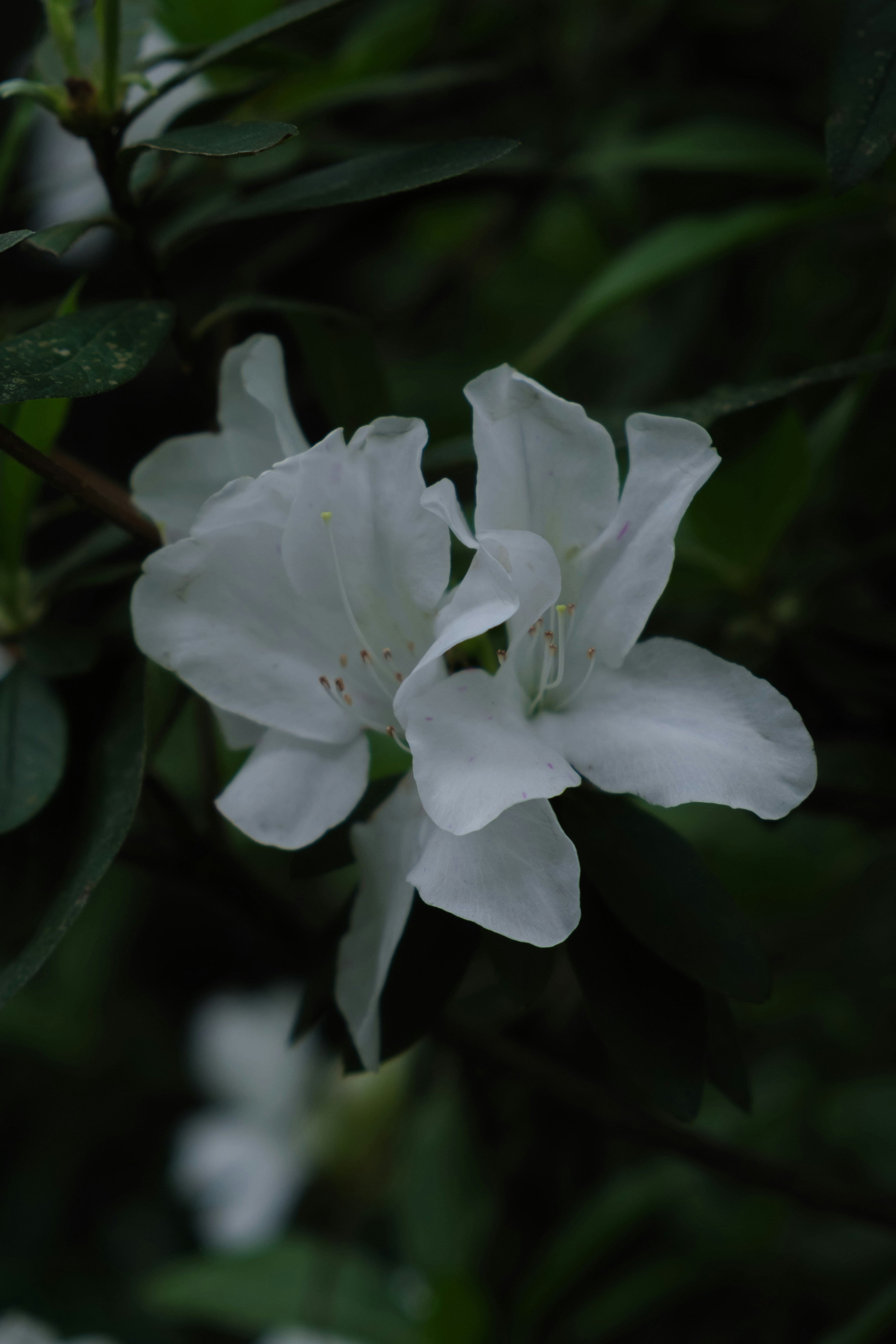 Photo by blsnki