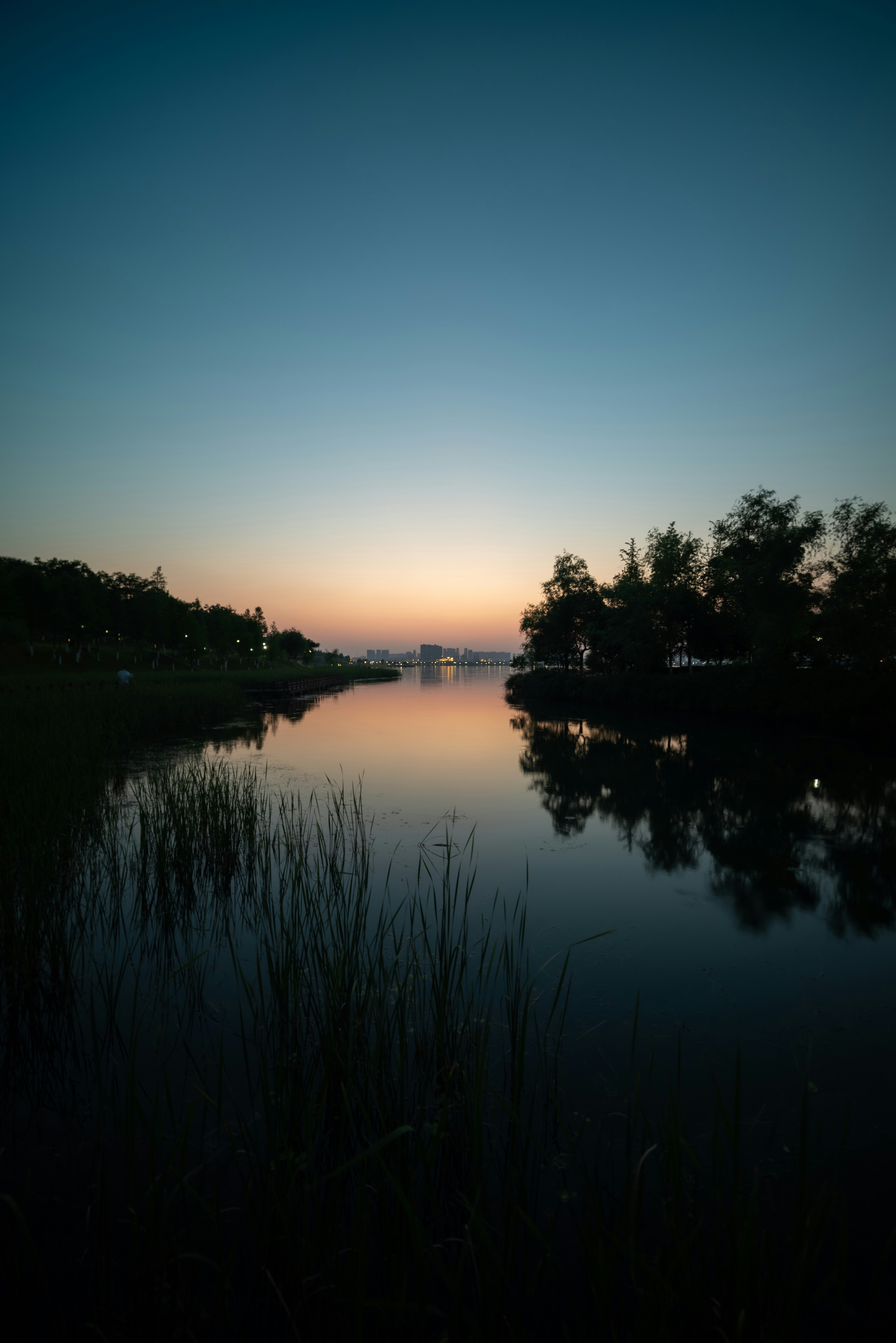 Photo by xoxiaoguai