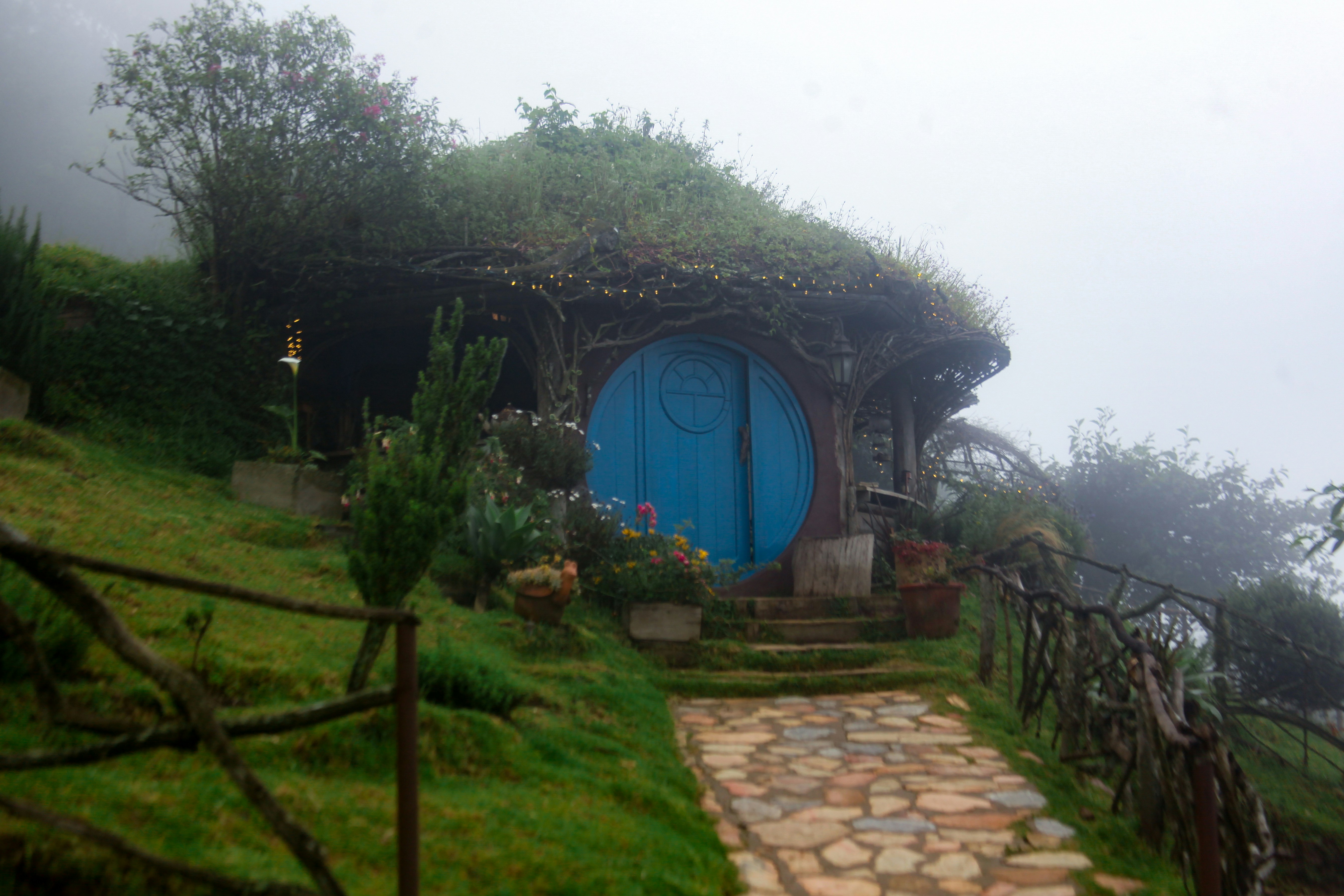 Photo by alejandroalas7536