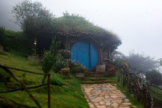 a house with a blue door in the middle of a field
