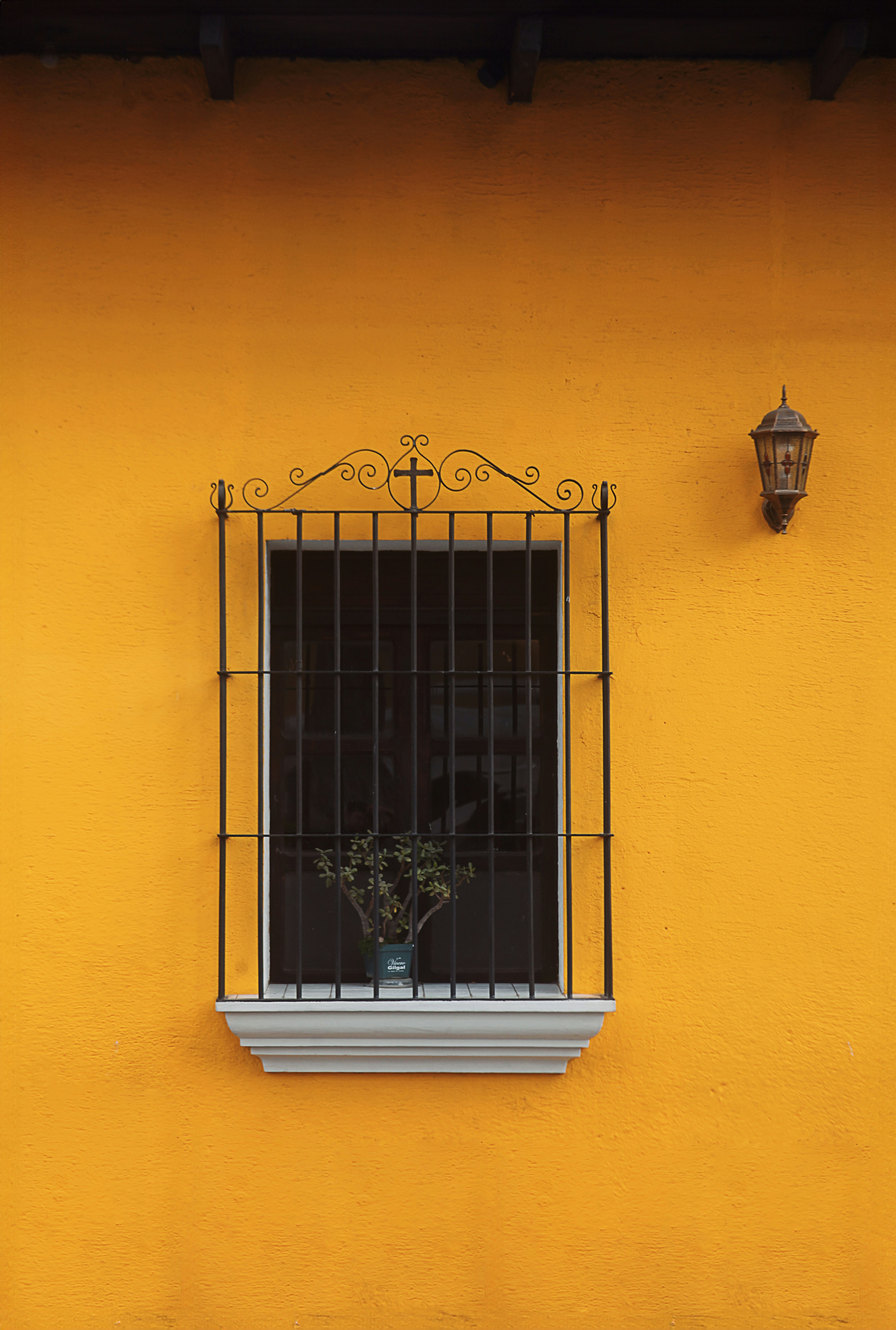 Photo by alejandroalas7536