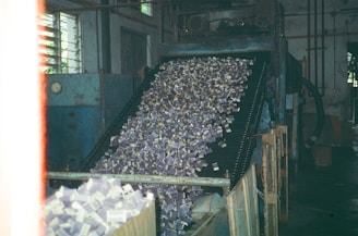 a conveyor belt filled with lots of money