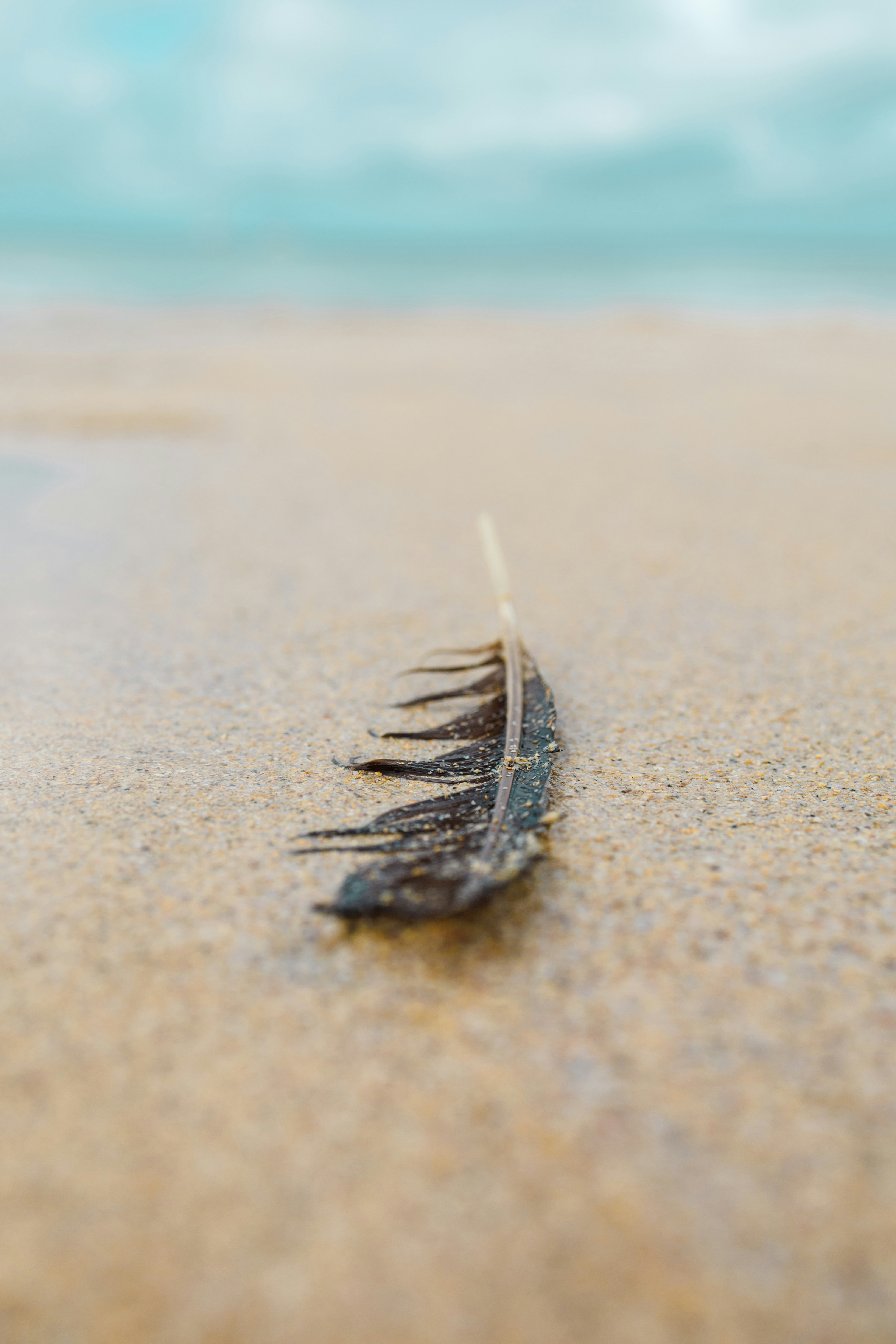 Photo by grievek1610begur