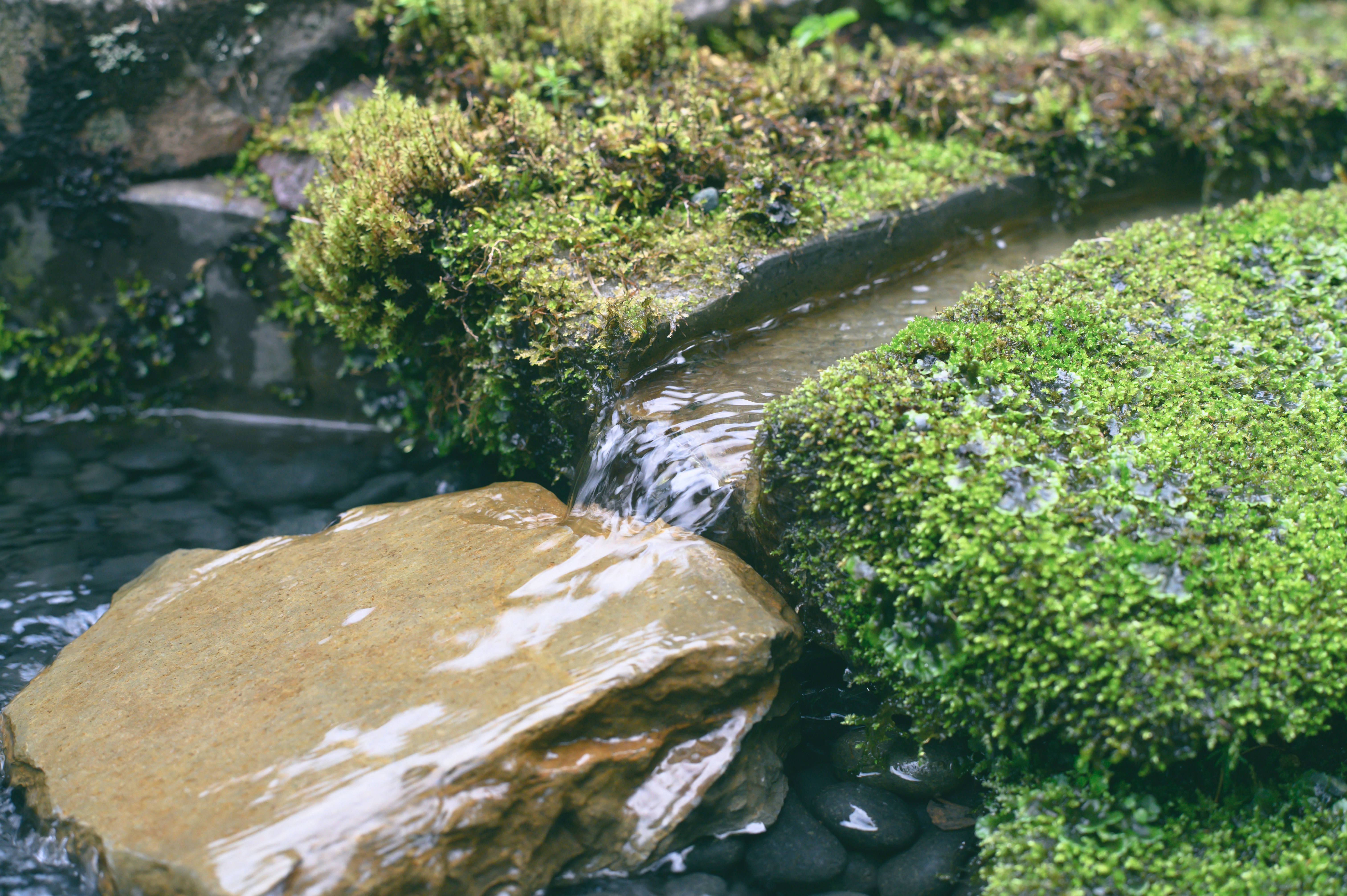 Photo by hayato_no_kiroku