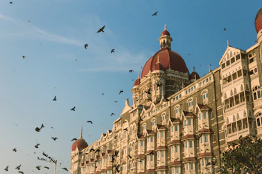 a flock of birds flying over a large building