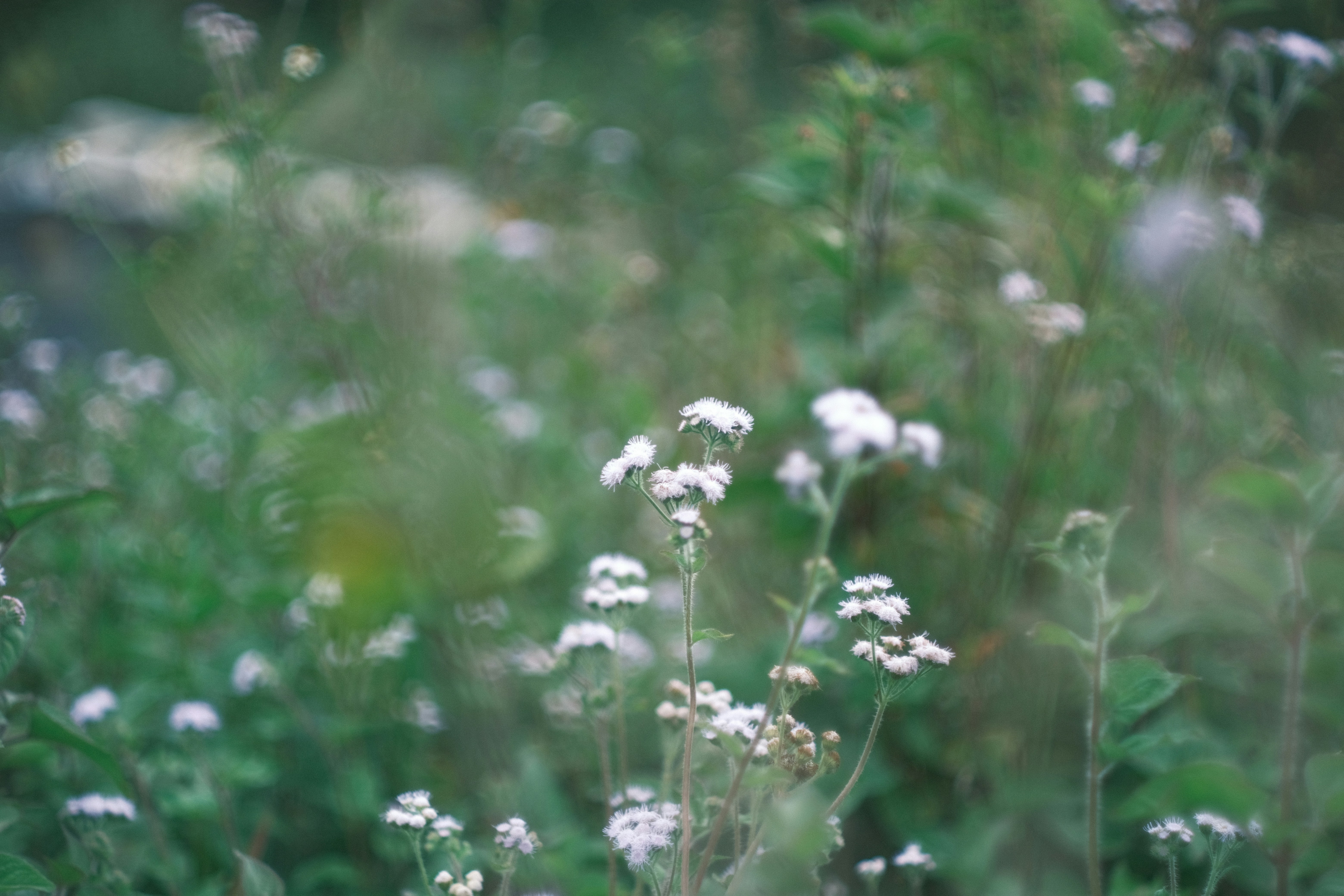 Photo by fatarnorgana