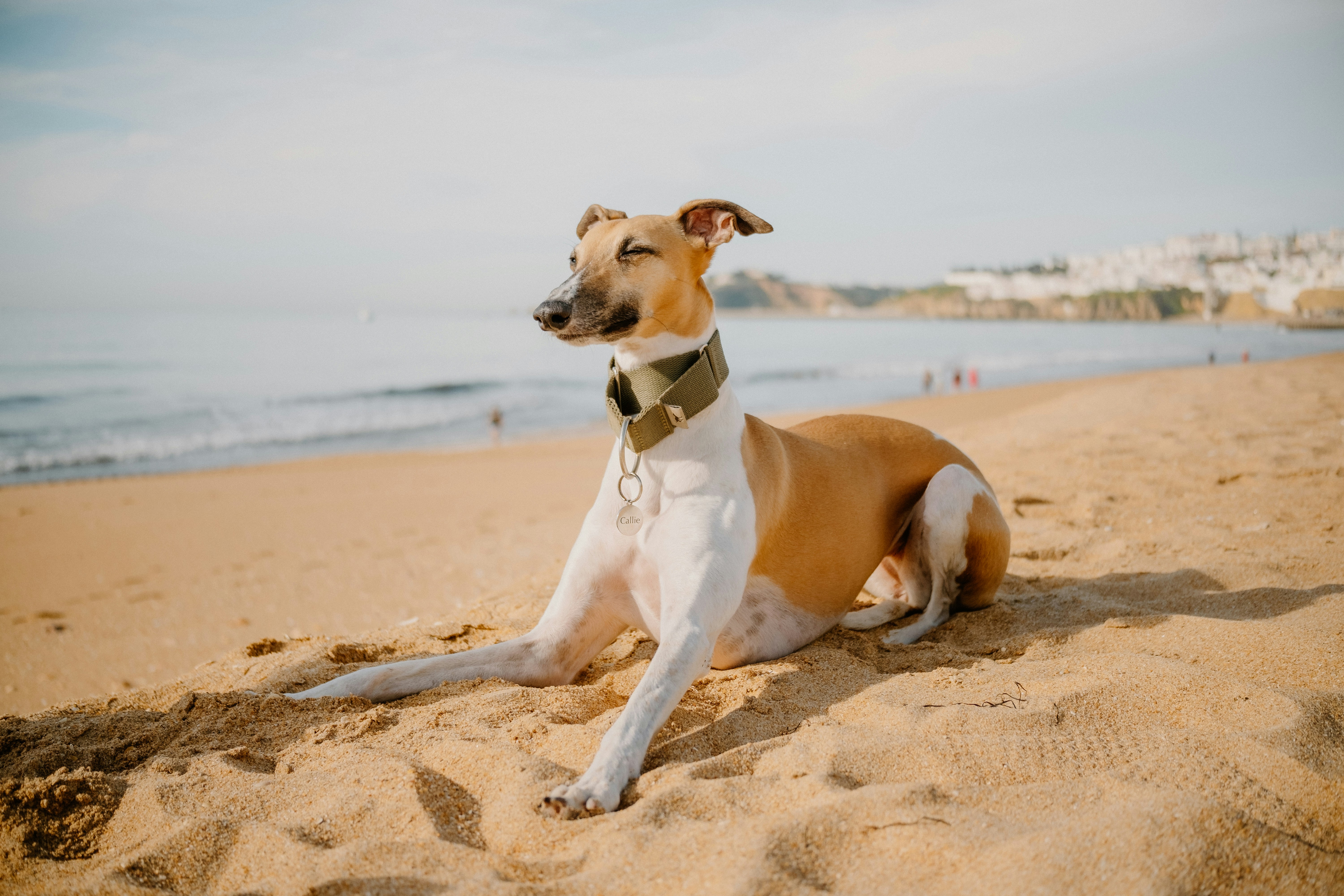 2024년 저평가 우량주 10선