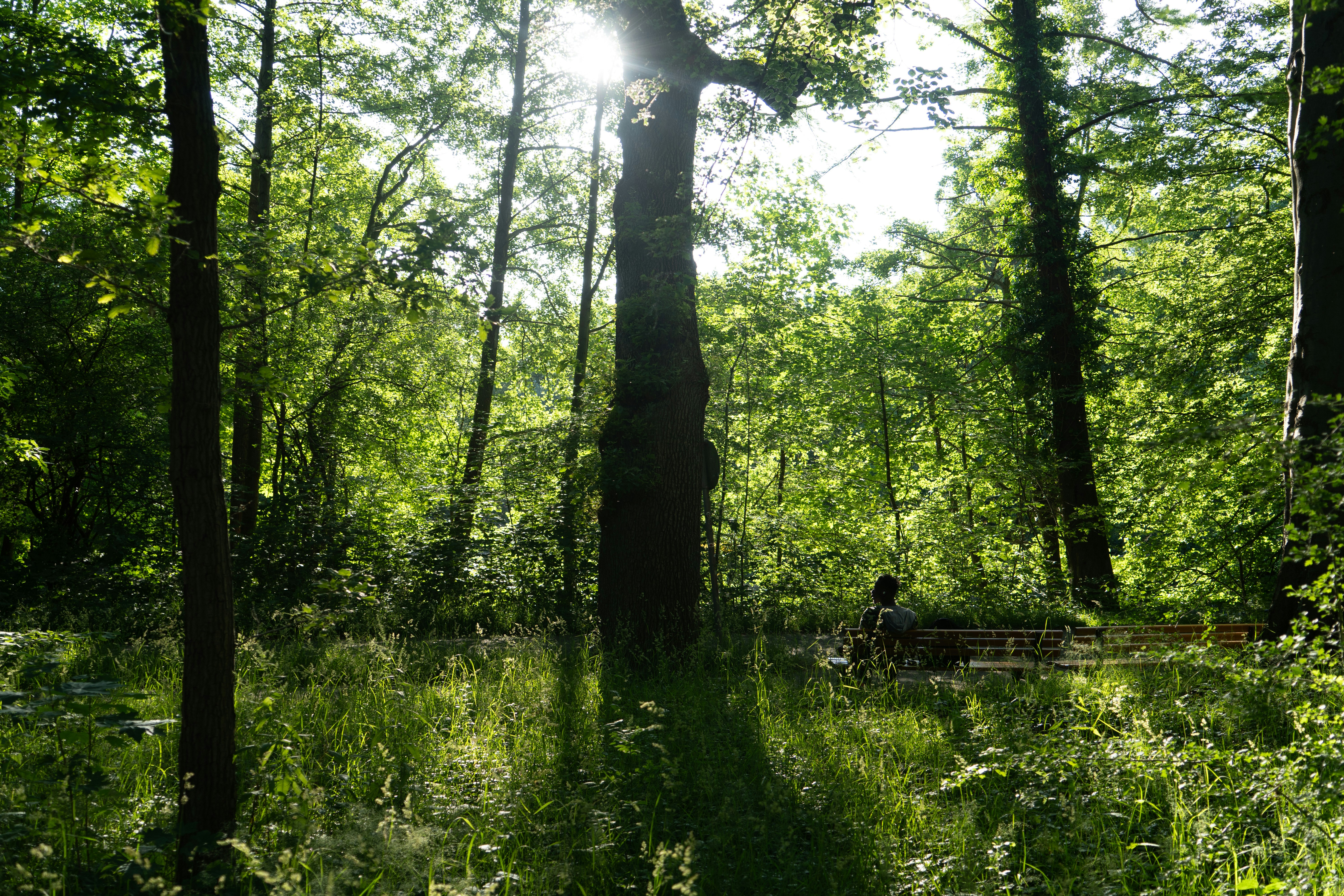 Photo by secondnetwork