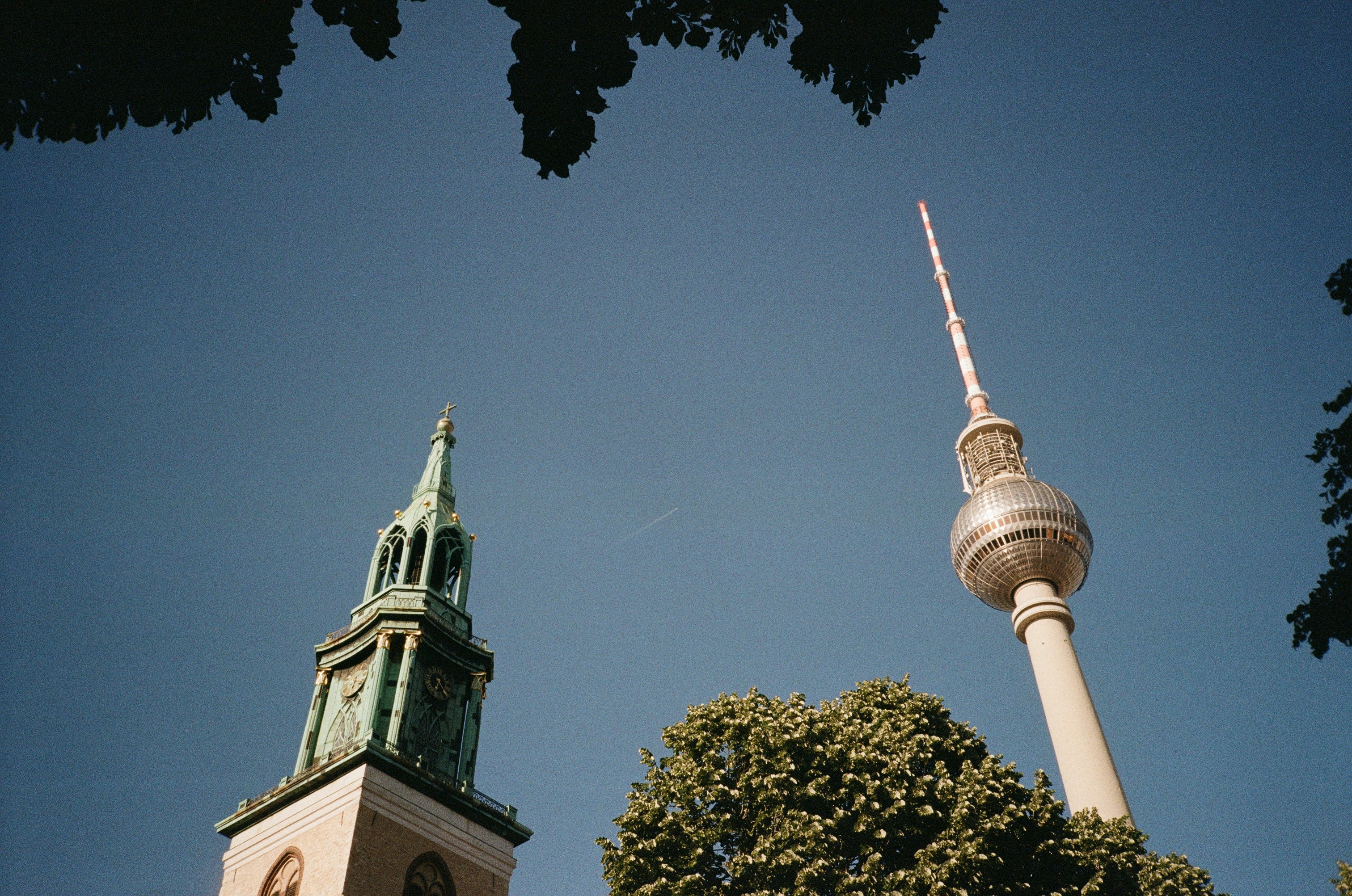 a tall building with a spire next to a tree