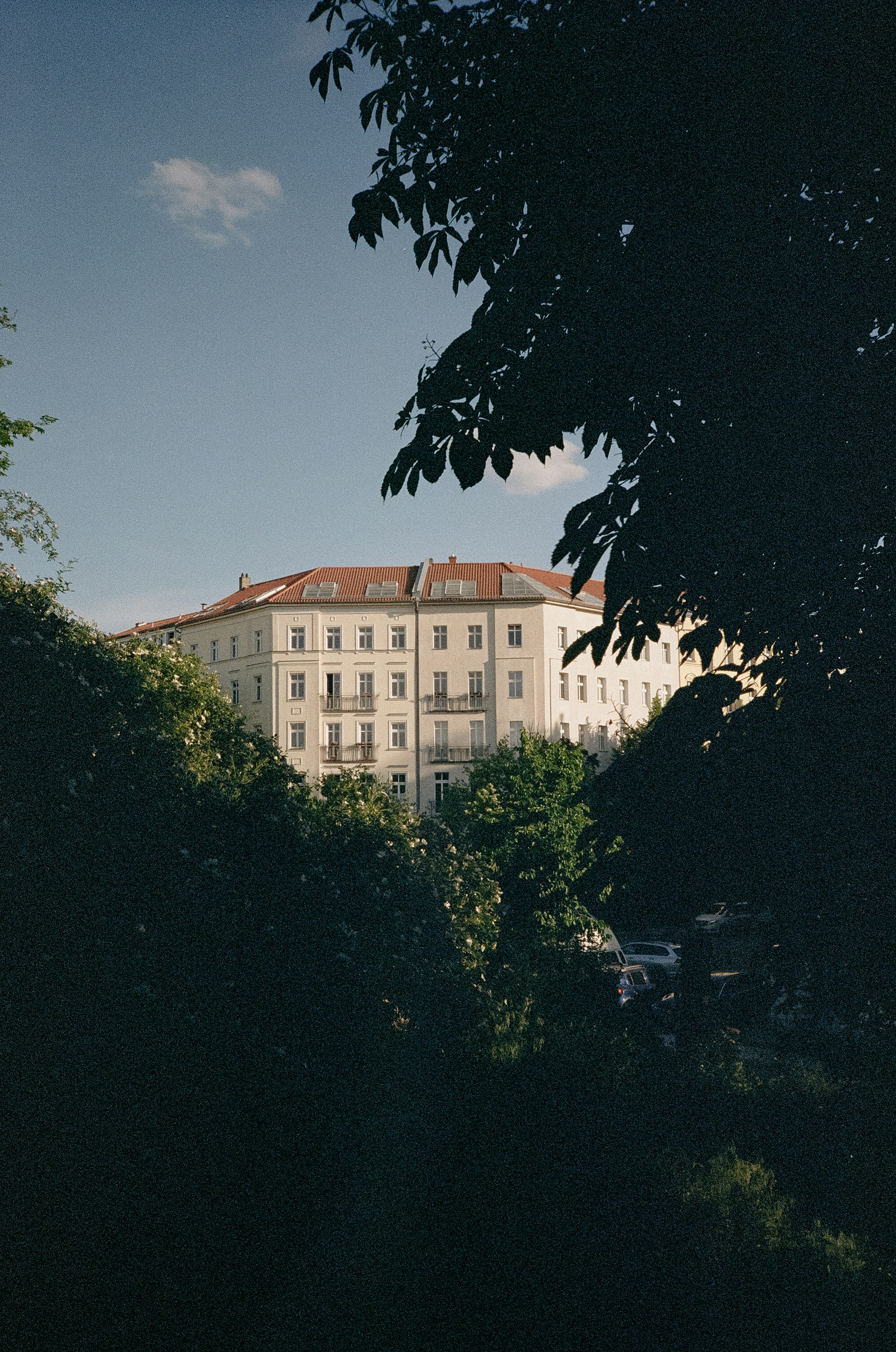 Photo by ginzburg_l