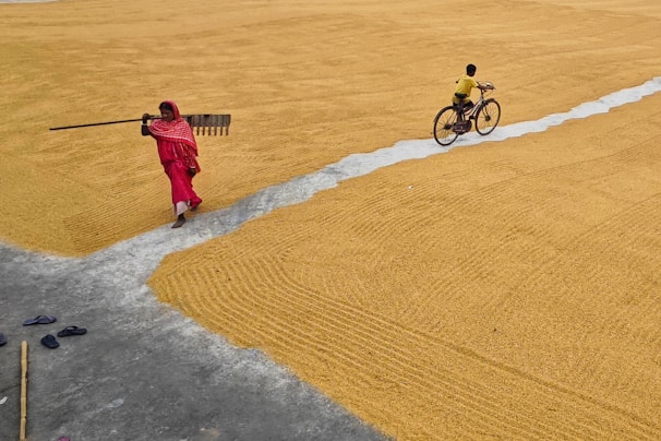 Two people in a field with a bicycle