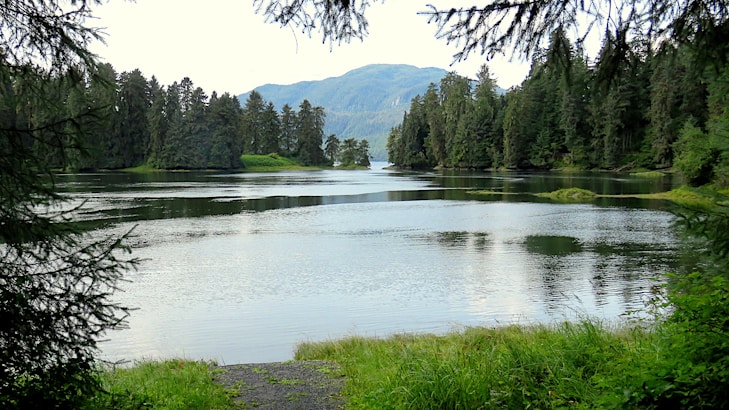 A large body of water surrounded by trees