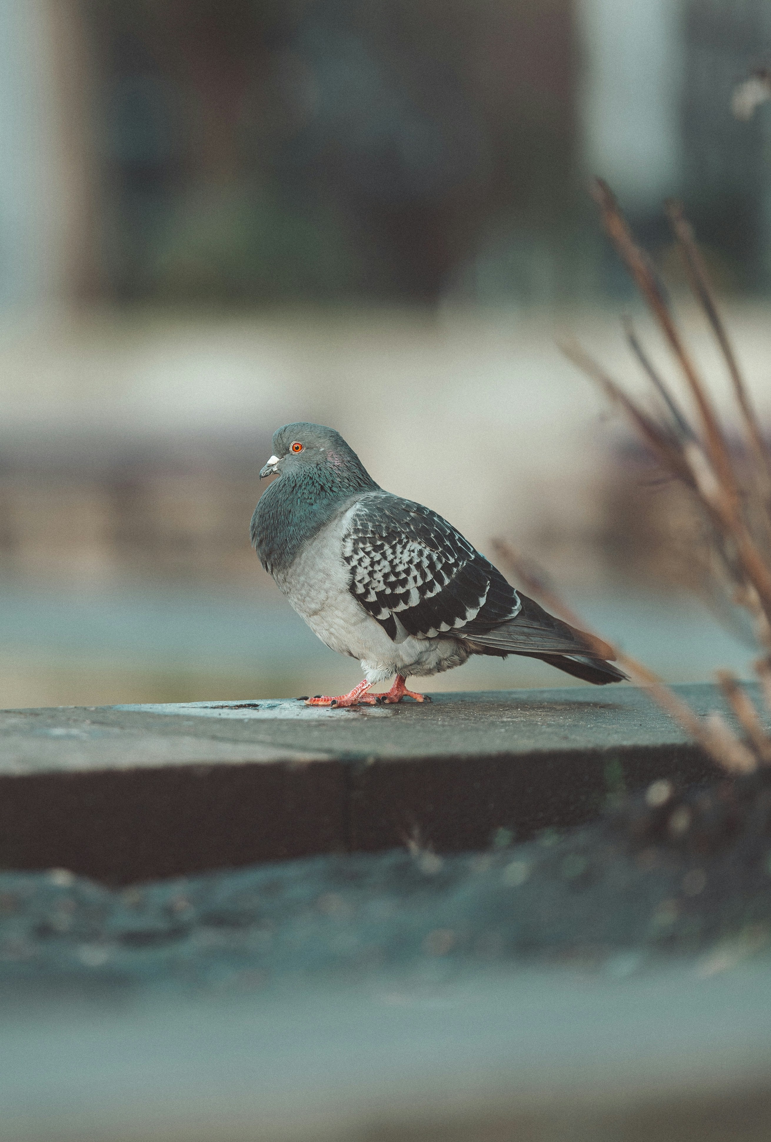 Photo by omarvellous14