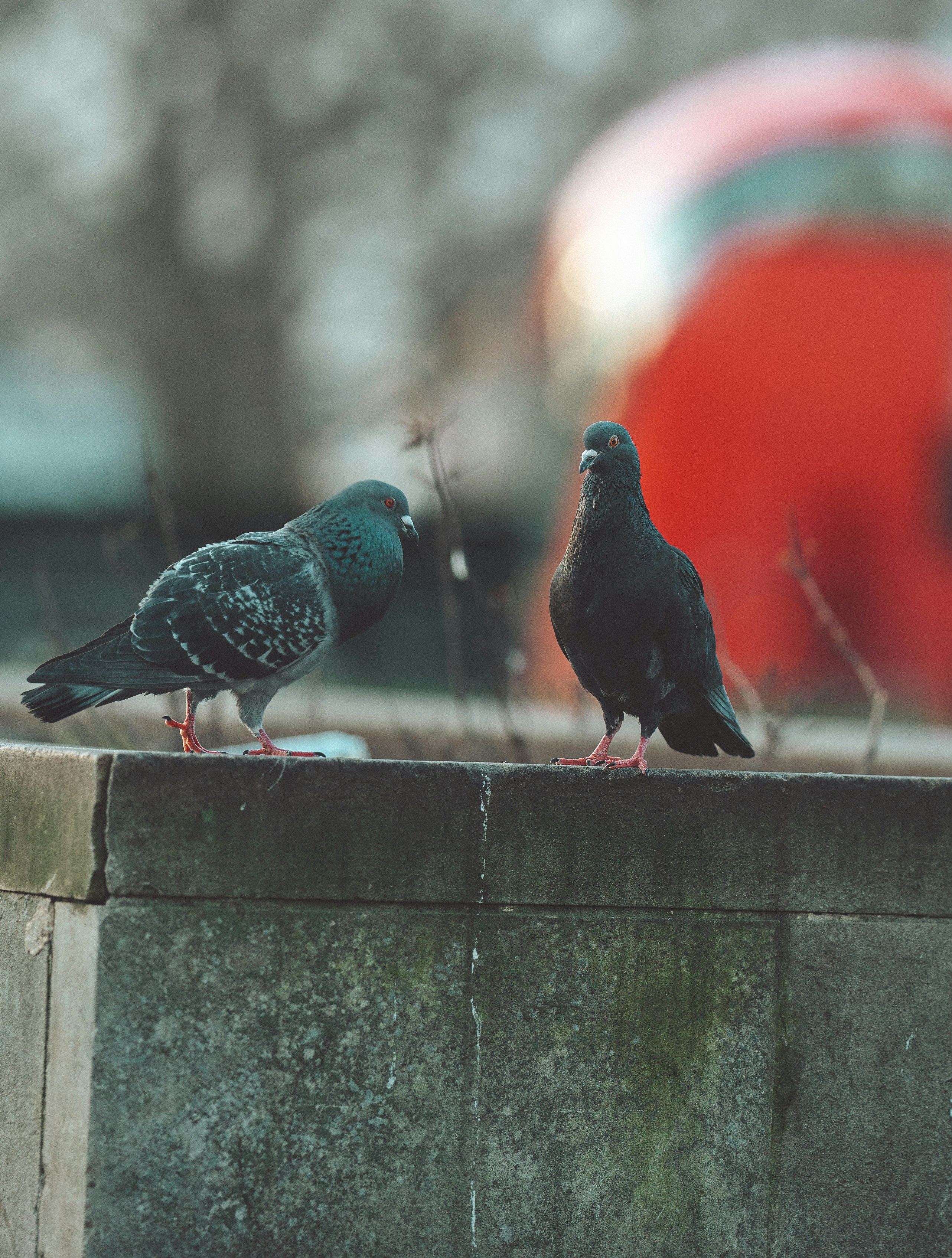 Photo by omarvellous14