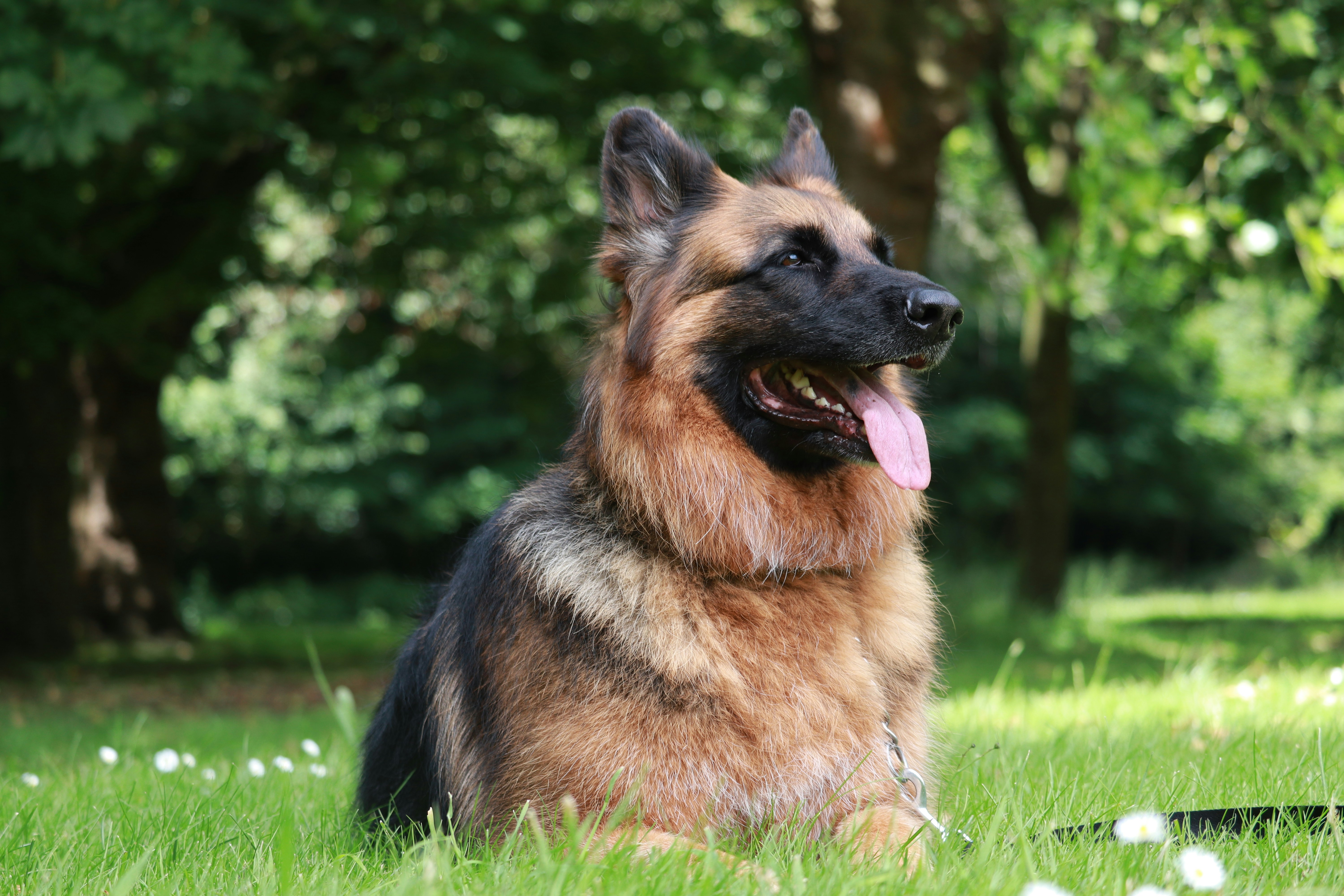 Ja / Nee – Is Wasparfum beter dan wasverzachter? Feiten en vergelijkingen