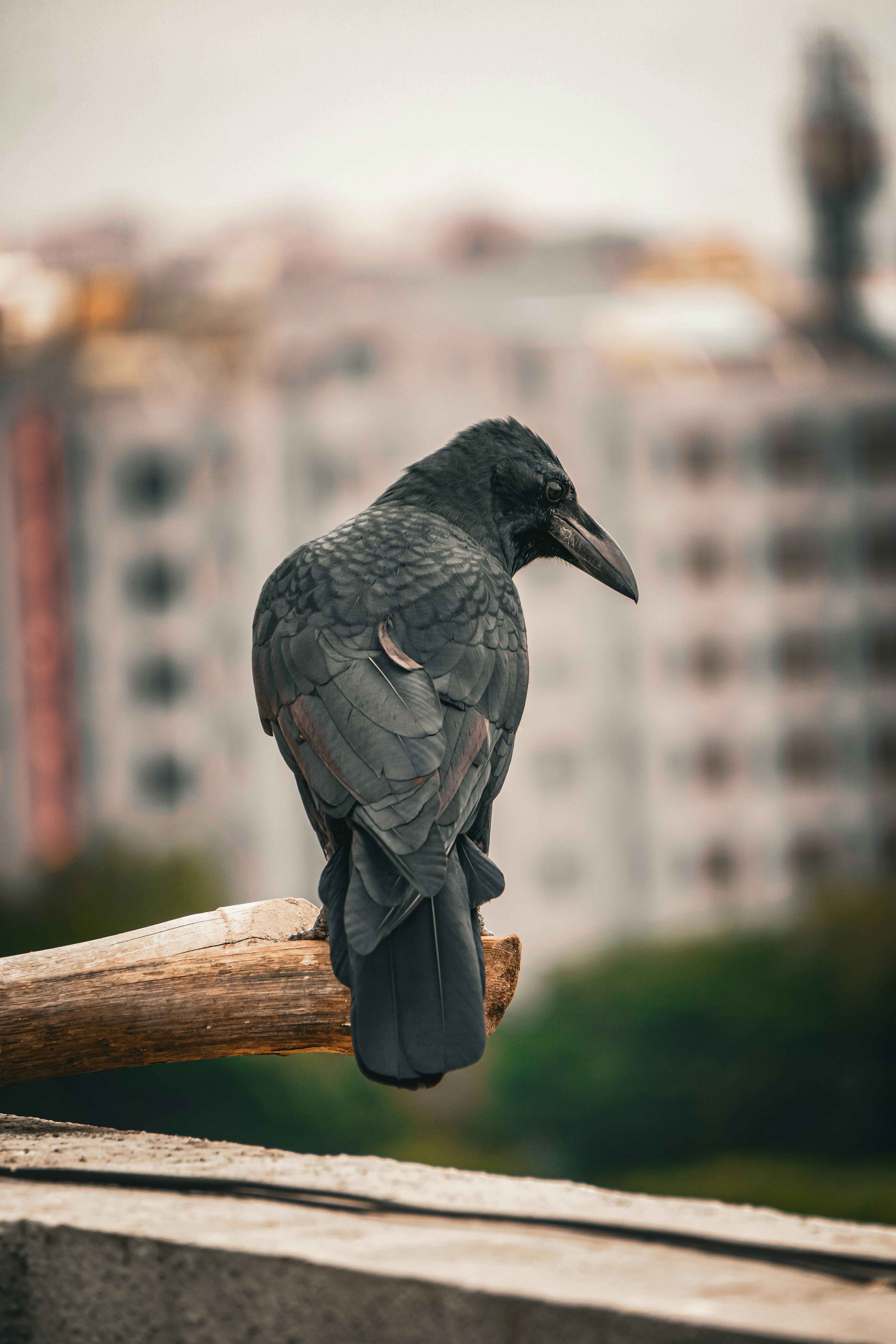 Photo by naam_ka_photographer