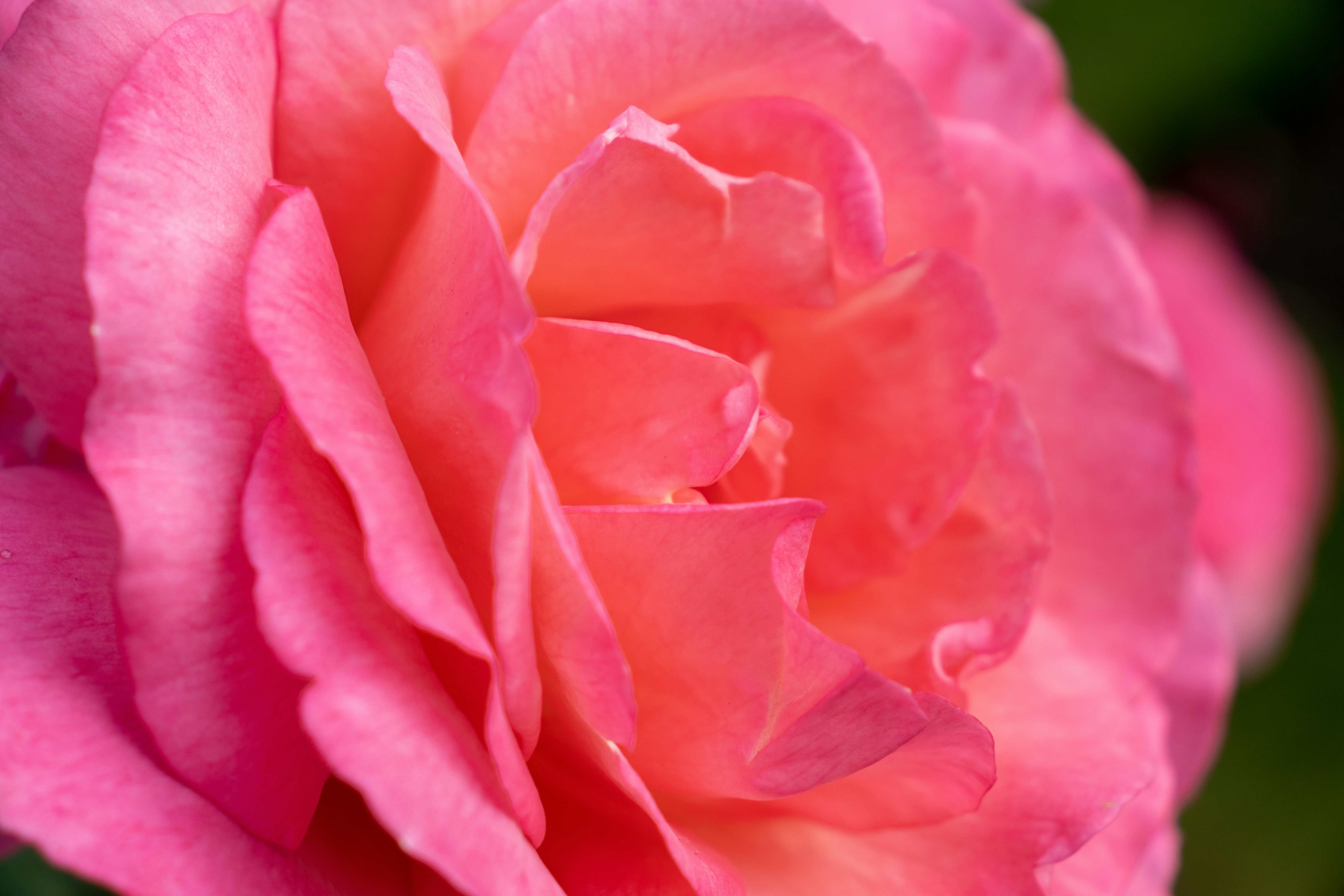 Photo by pokornymichal