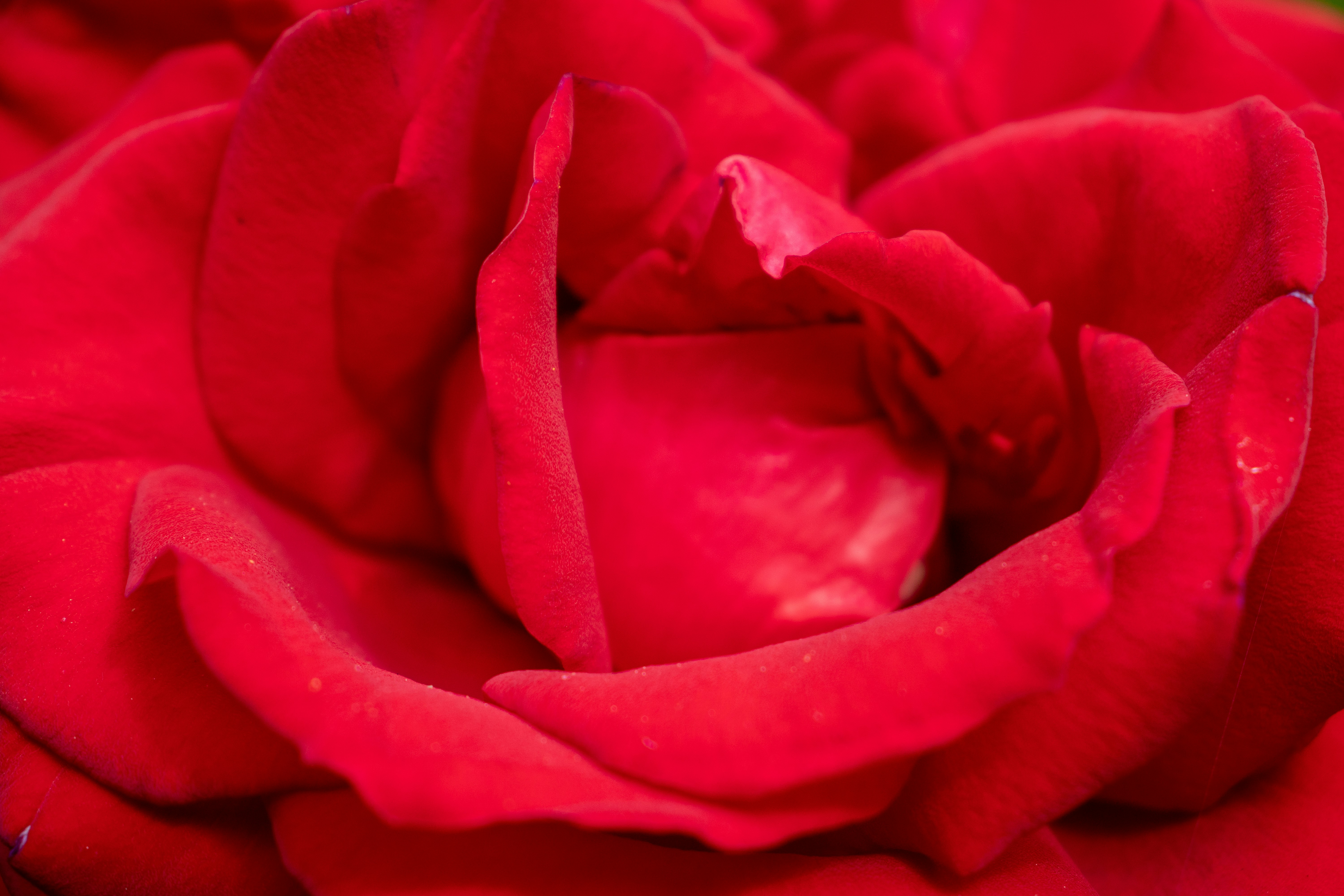 Photo by pokornymichal