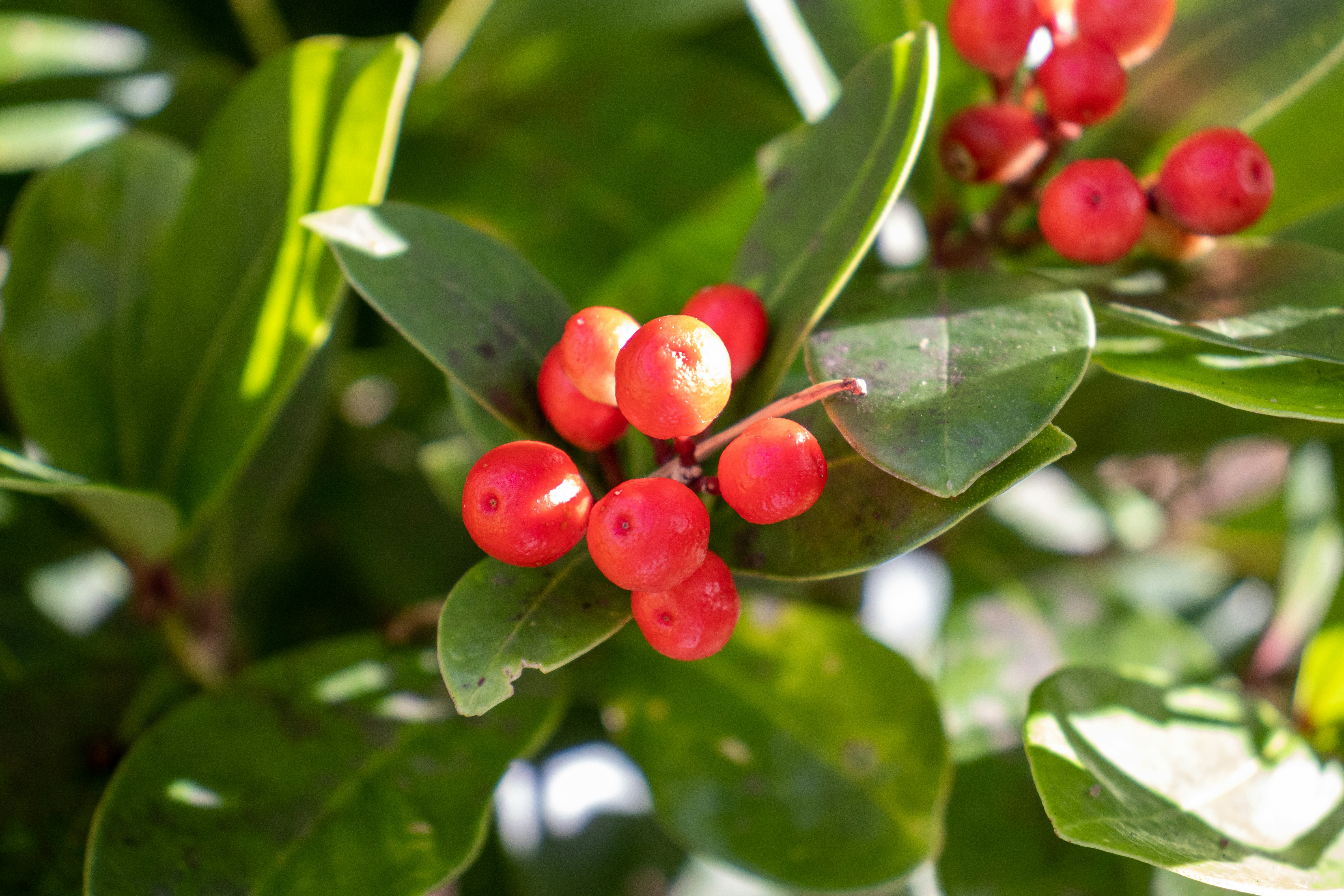 Photo by pokornymichal