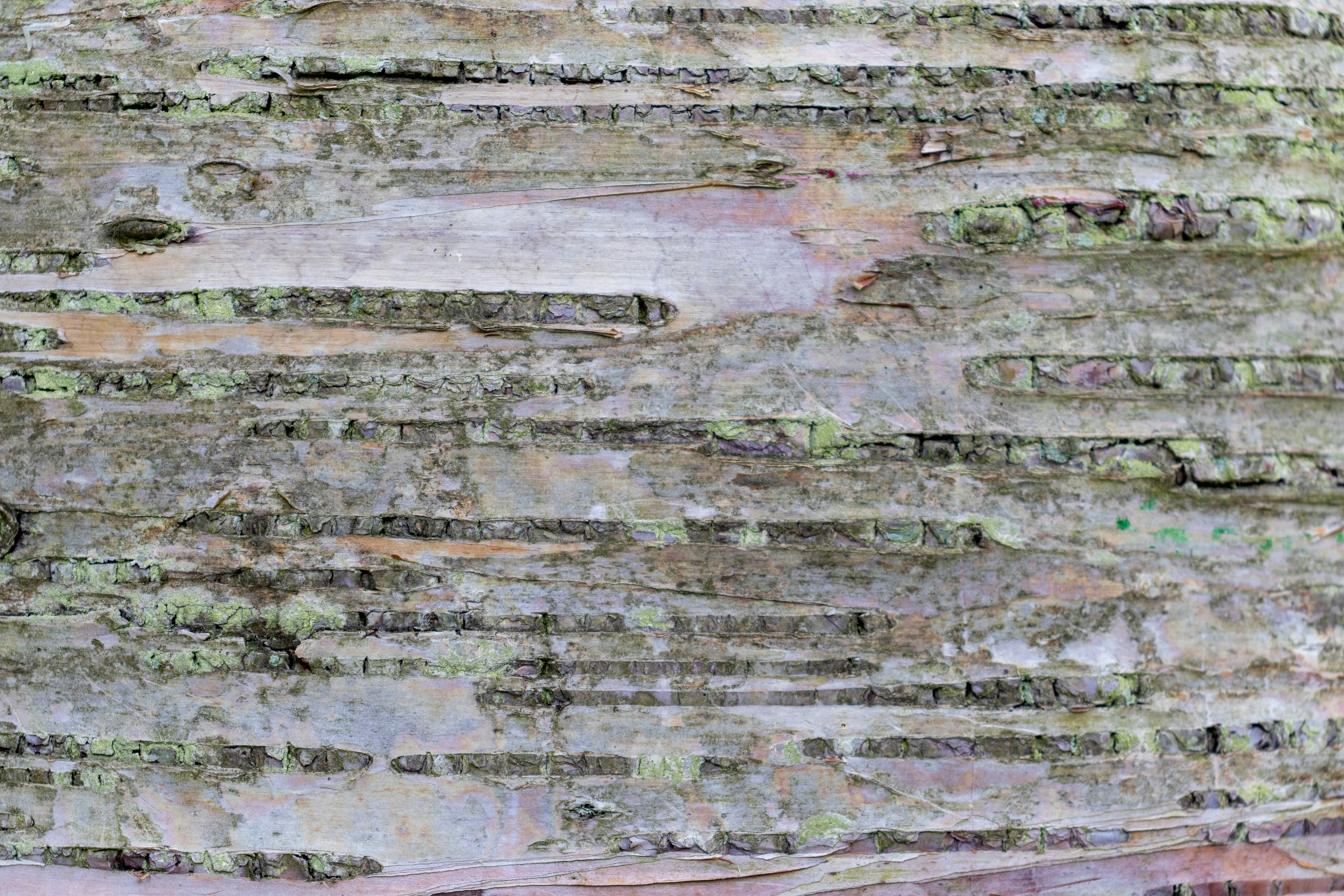 Photo by pokornymichal