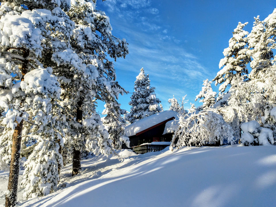 The image depicts a serene winter scene with a small cabin nestled amidst snow-covered trees and bushes, partially obscured by the surrounding foliage. The cabin is situated on a hillside, offering a panoramic view of the landscape below. The sky above is clear blue, providing a beautiful backdrop to the snowy surroundings. The image is taken from a low angle, emphasizing the height of the cabin and the vastness of the sky.