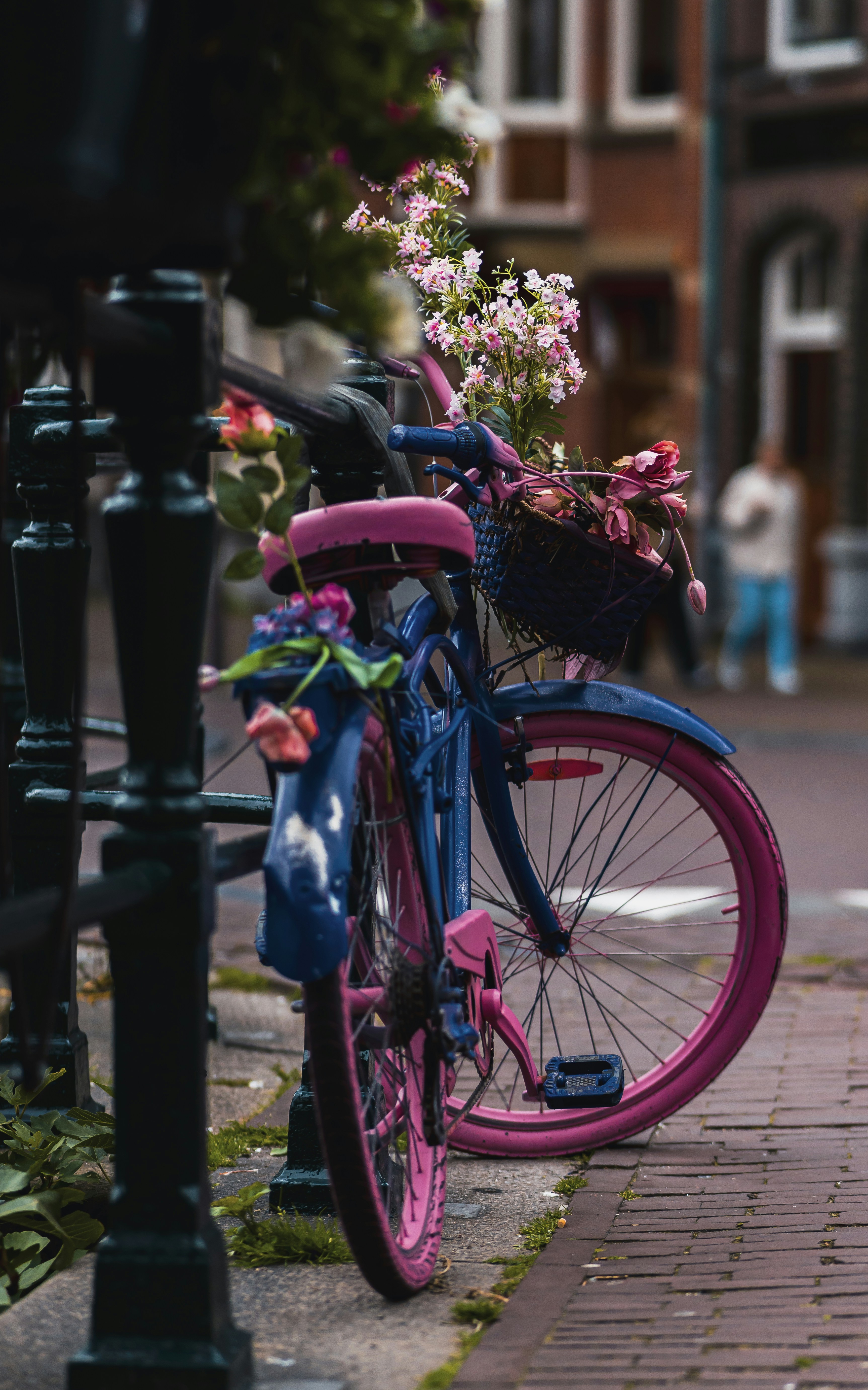 Photo by jahan_photobox