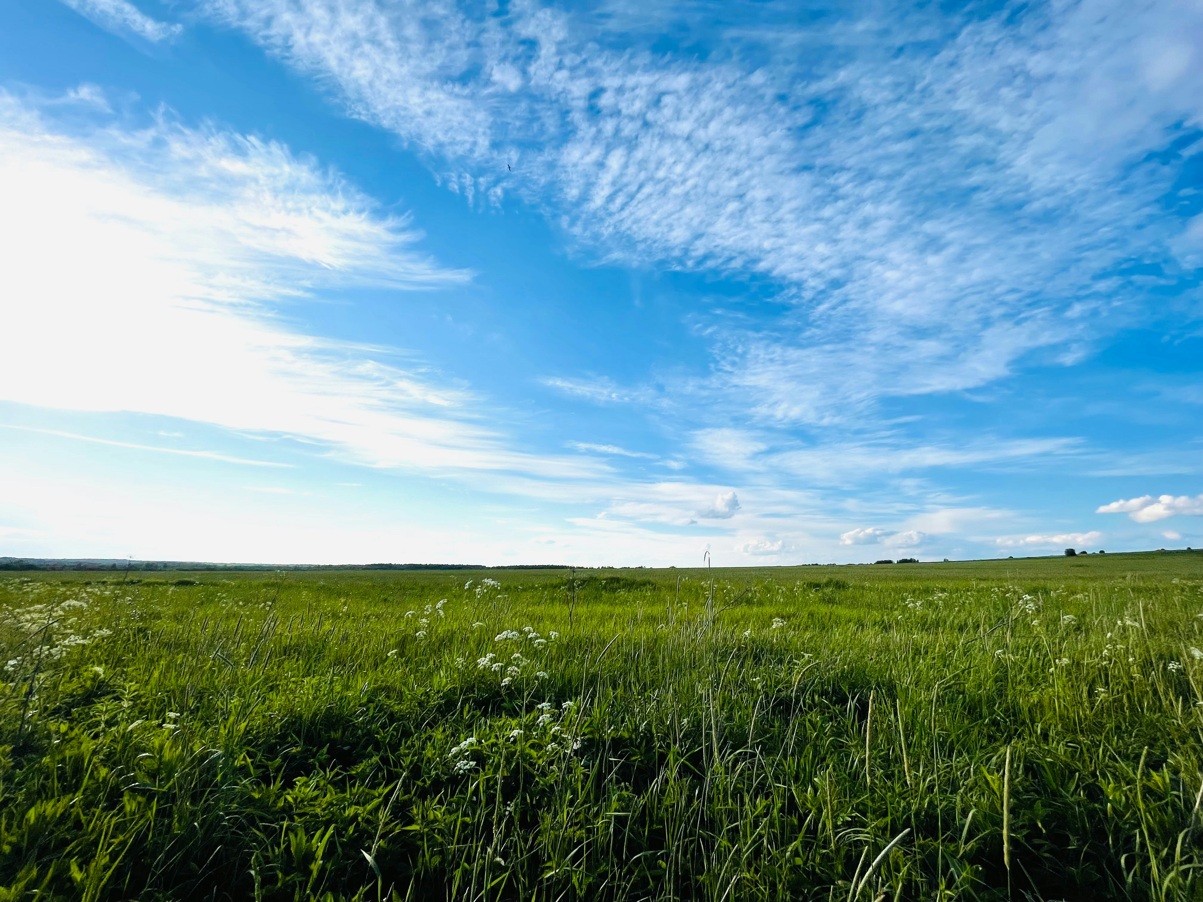 Photo by tashakostyuk